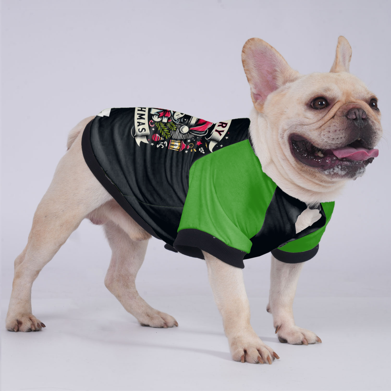 Bailey French Bulldog Winter Jacket for Training Sessions-fadou