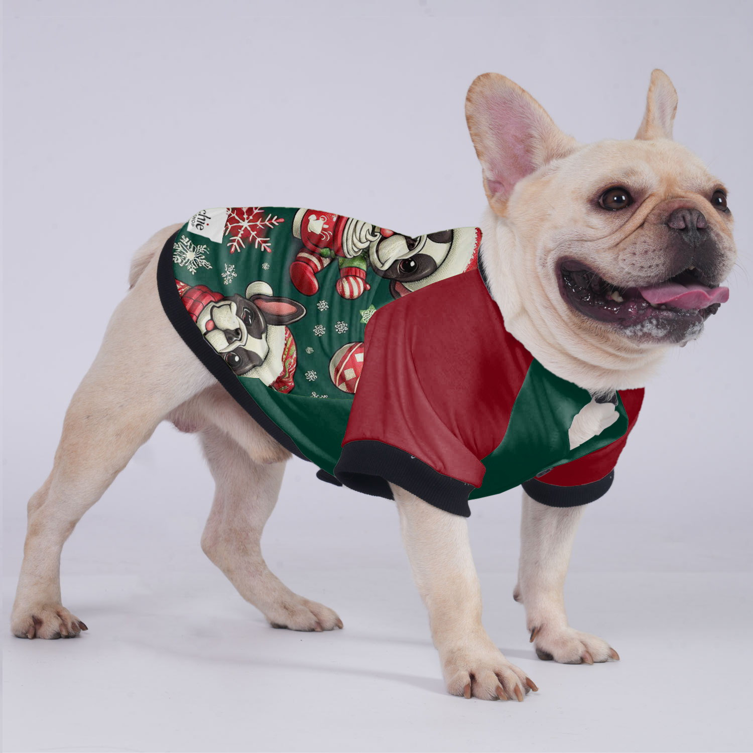 Cooper French Bulldog Warm Outerwear for Training Sessions-fadou