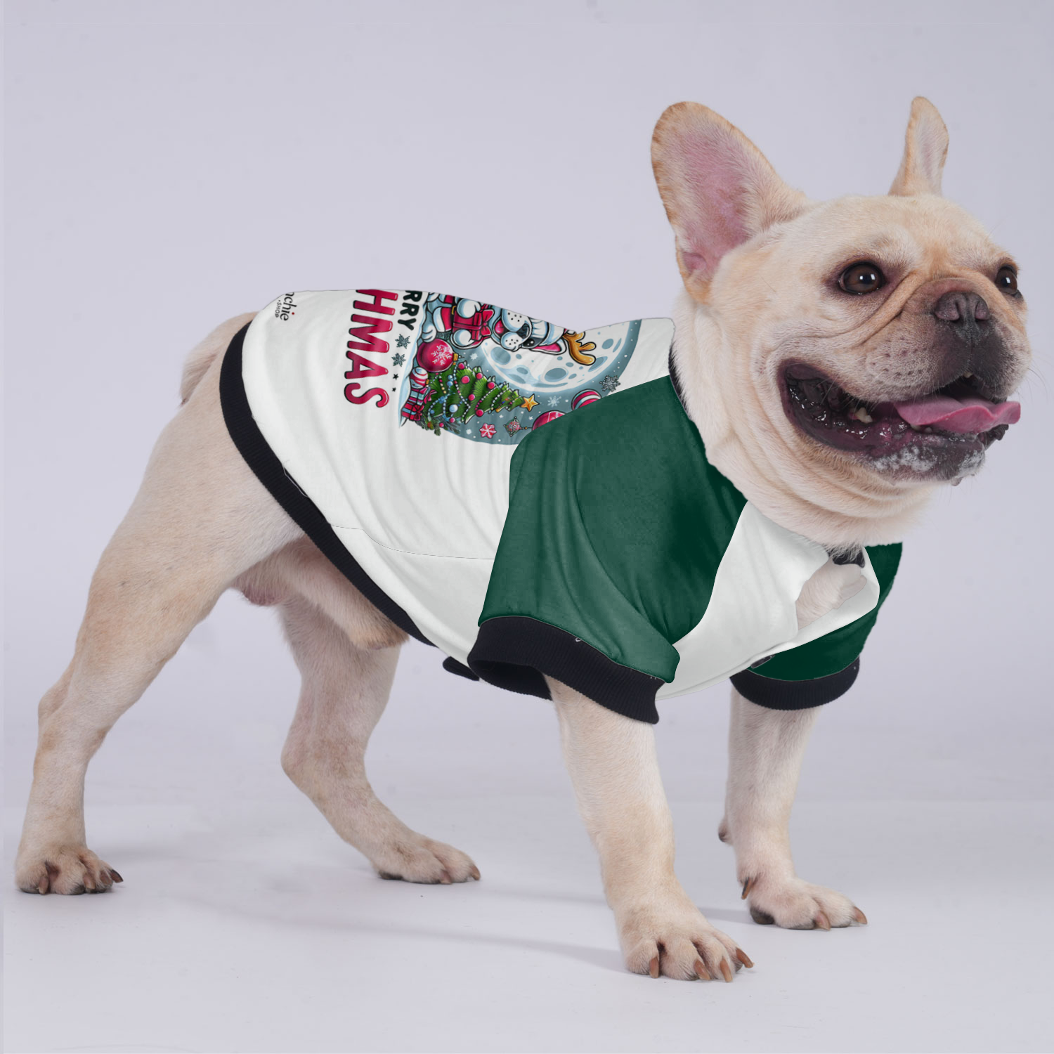 Sadie French Bulldog Warm Outerwear for Outdoor Adventures-fadou