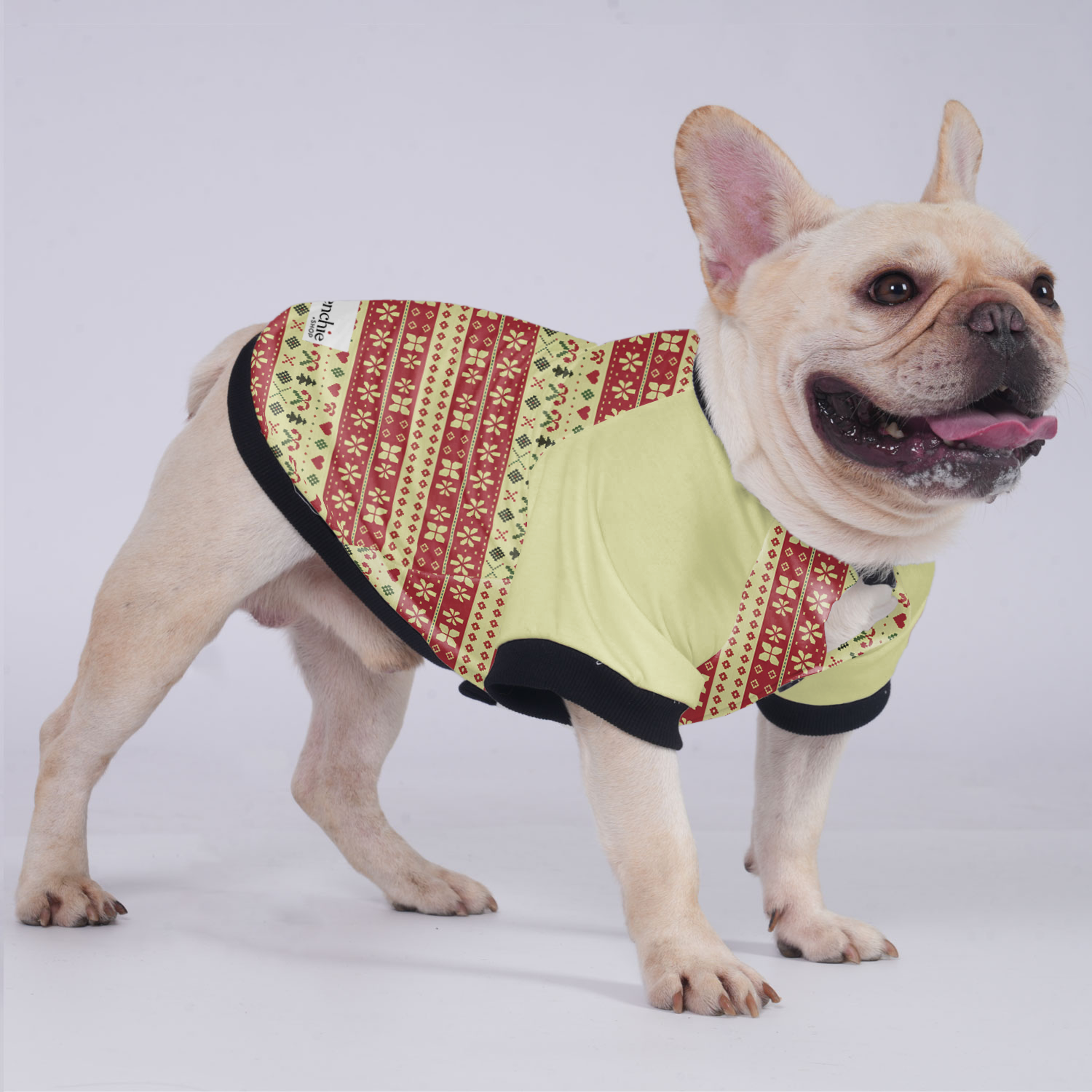 Remi French Bulldog Warm Outerwear for Outdoor Adventures-fadou