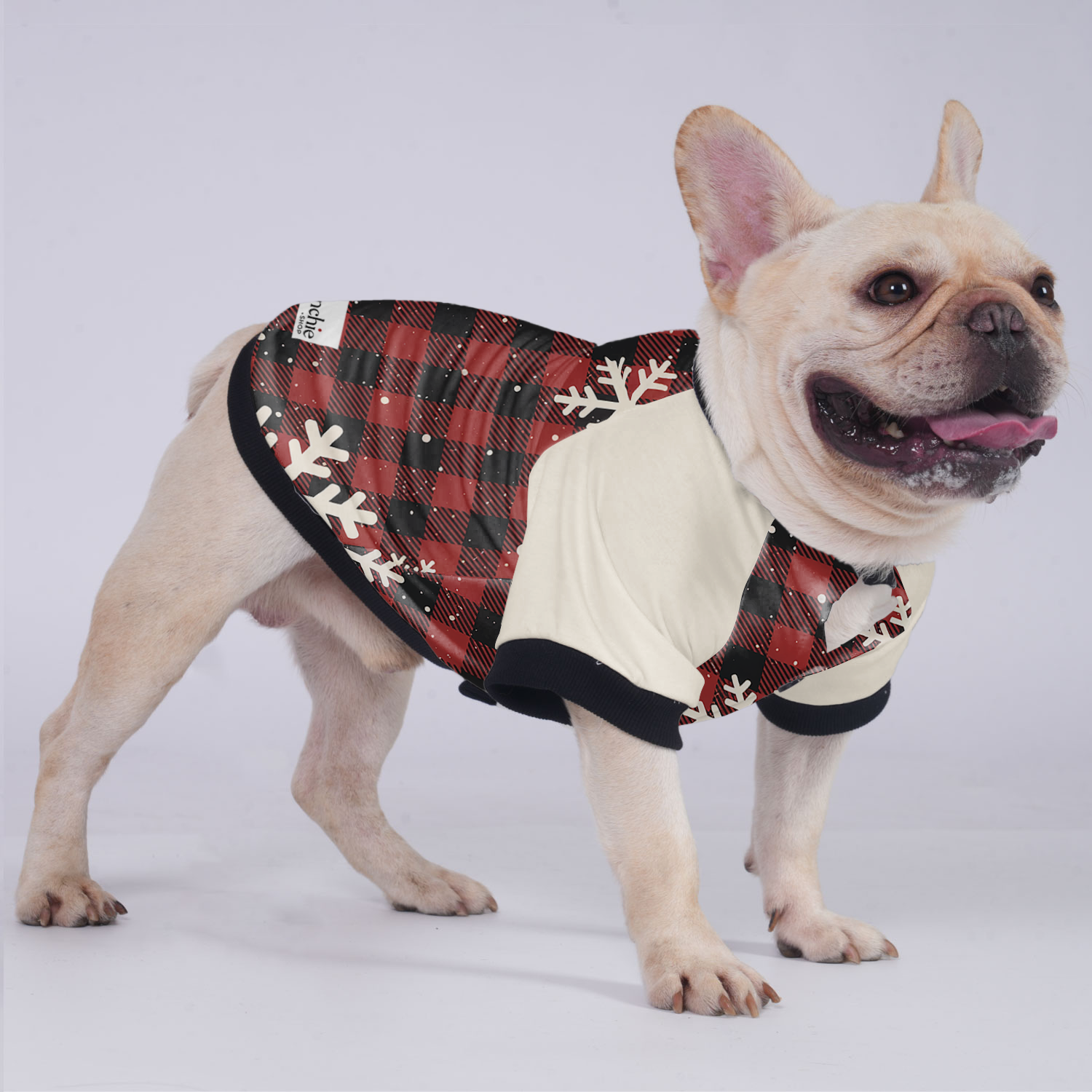 Chloe French Bulldog Pet Jacket for Brachycephalic Dogs-fadou