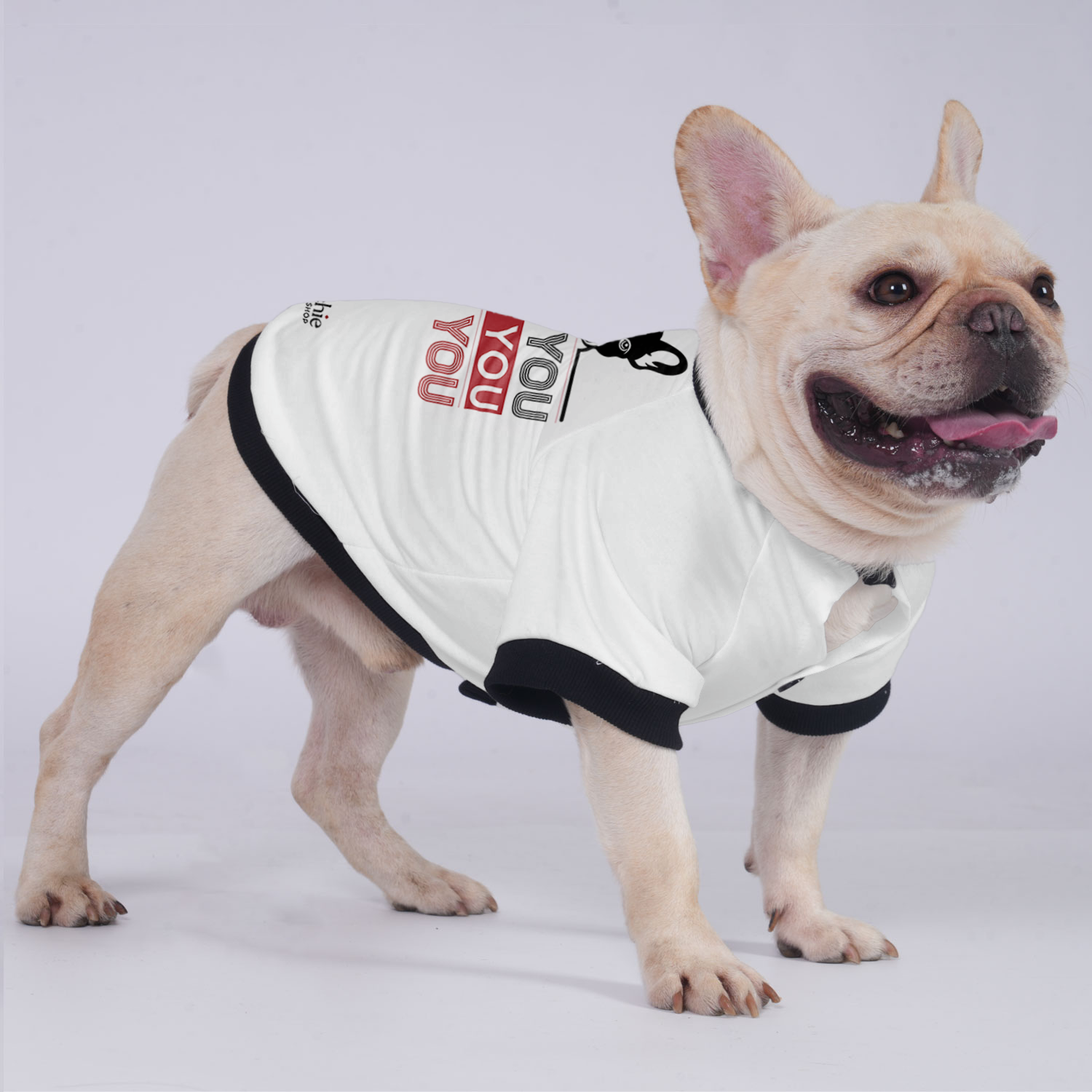 Luna - Jacket for French Bulldog for Brachycephalic Dogs-fadou