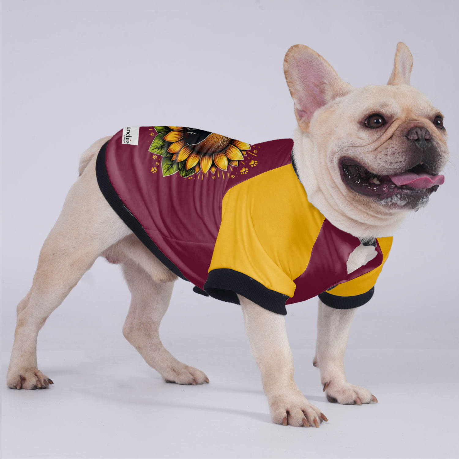 Toby French Bulldog Warm Outerwear for Training Sessions-fadou
