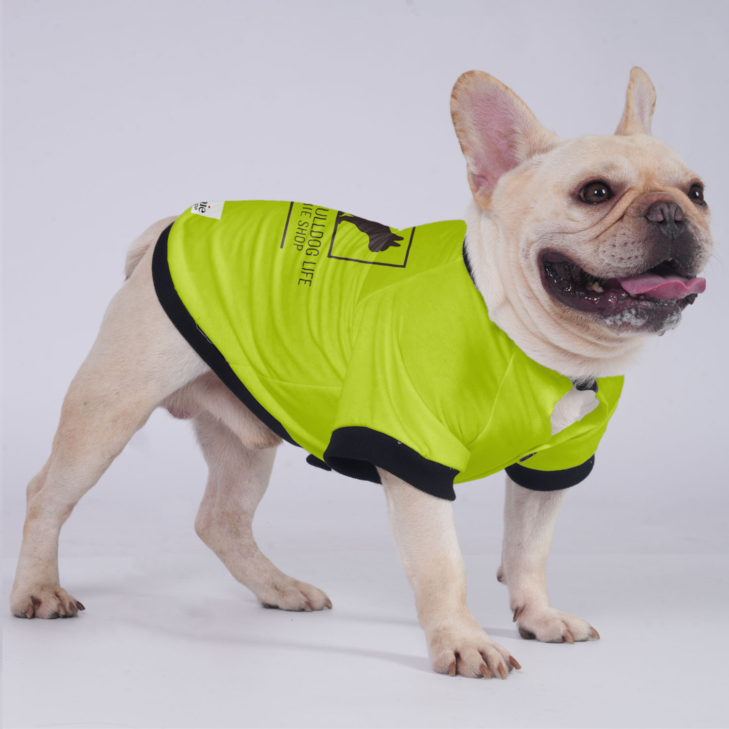Max French Bulldog Warm Outerwear for Outdoor Adventures-fadou