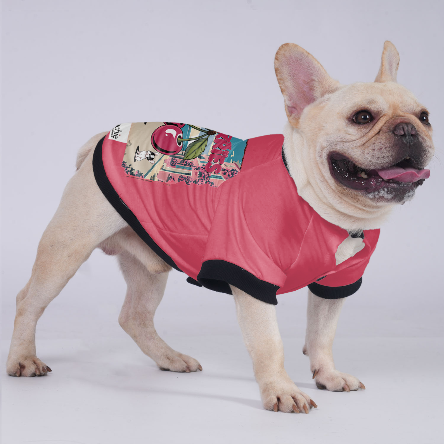 Lady French Bulldog Warm Outerwear for Flat-Face Breeds-fadou