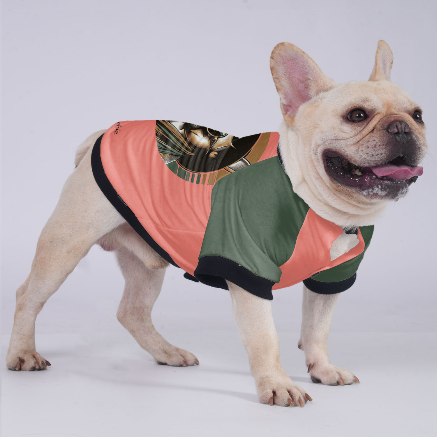 Lucy French Bulldog Winter Jacket for Training Sessions-fadou