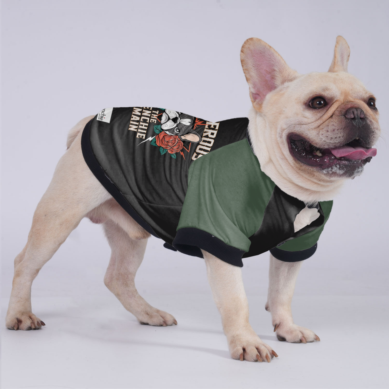 Melo French Bulldog Warm Outerwear for Training Sessions-fadou