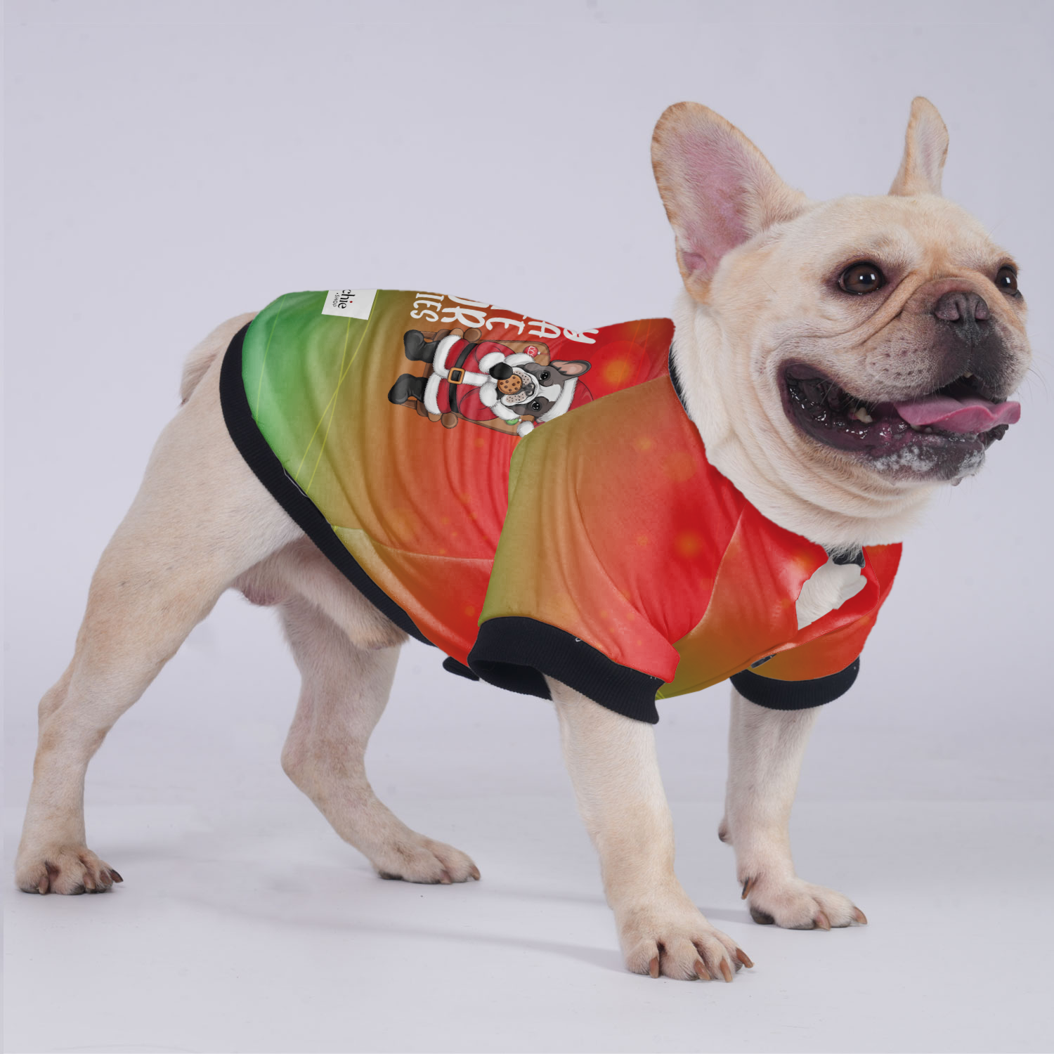 Sorry French Bulldog Pet Jacket for Brachycephalic Dogs-fadou