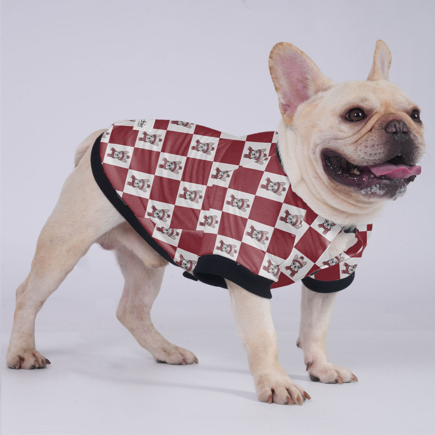 Winston French Bulldog Winter Jacket for Training Sessions-fadou