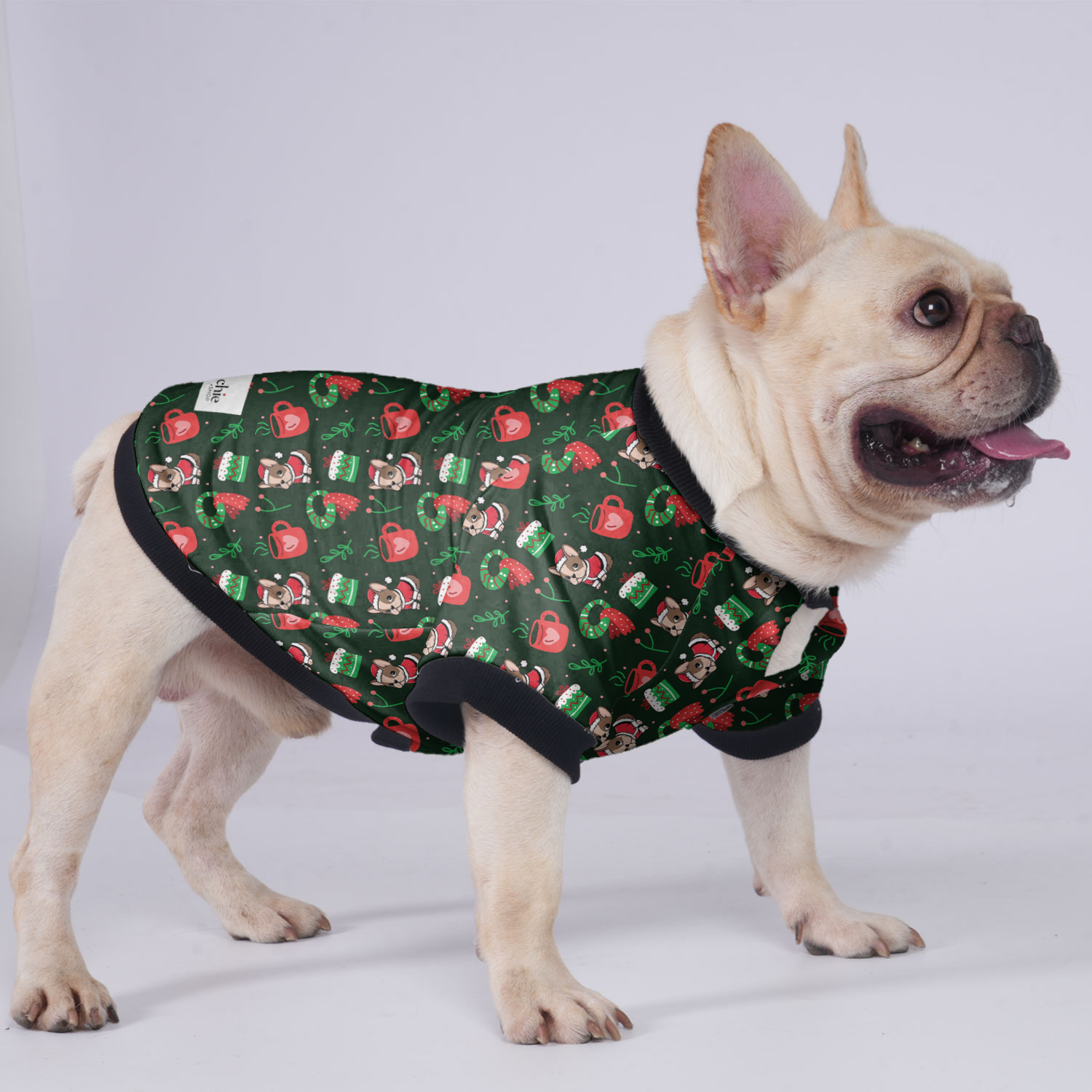 Cutie French Bulldog Winter Jacket for Brachycephalic Dogs-fadou