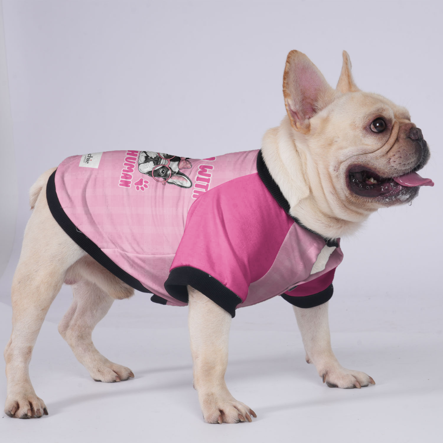 I'm with the Human - Jacket for French Bulldog for Short-Nosed Dogs-fadou