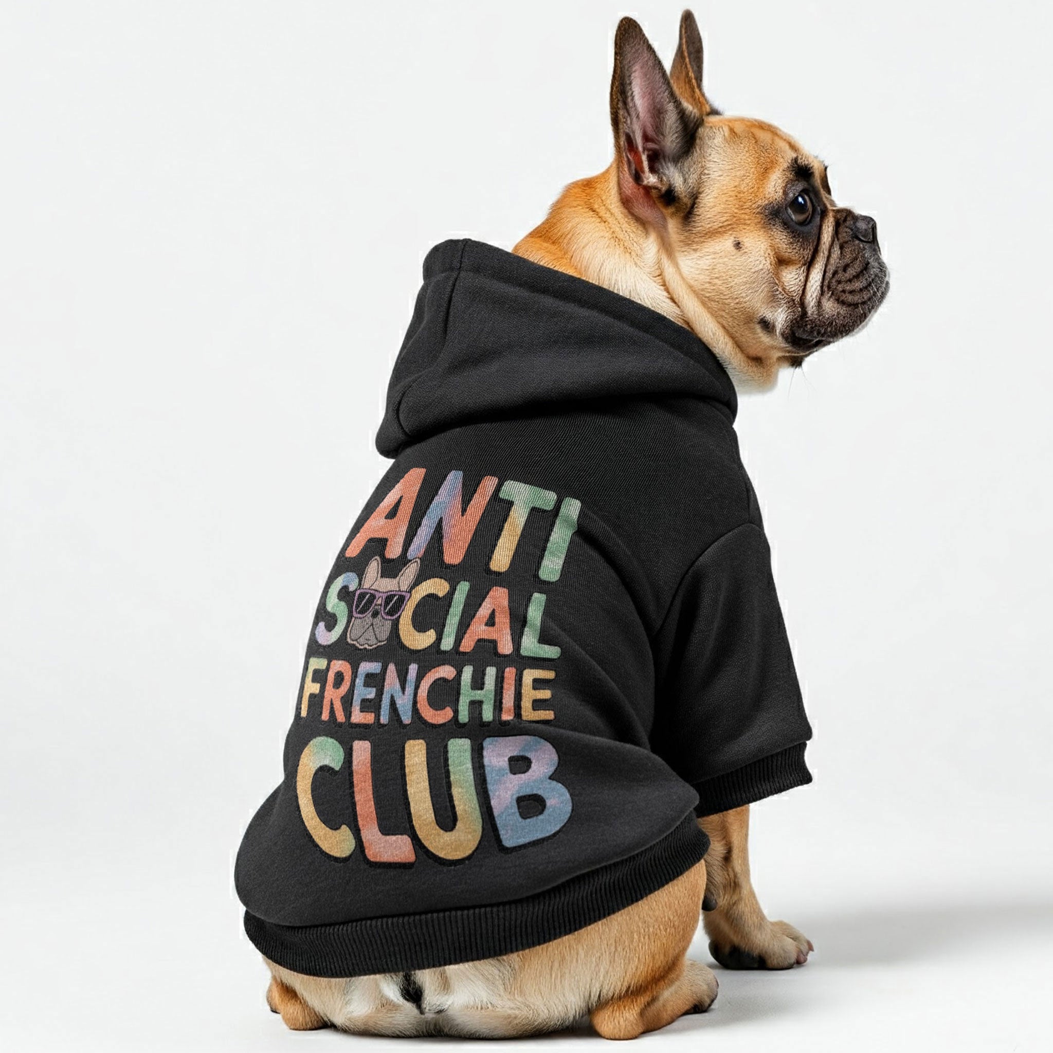 Personalized Cozy Pet Parent Pullover for Frenchie Enthusiasts-fadou