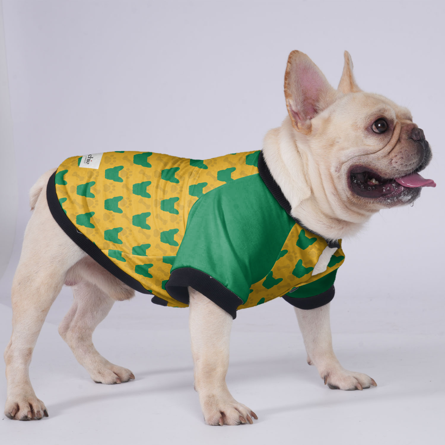 Brooklyn French Bulldog Winter Jacket for Training Sessions-fadou