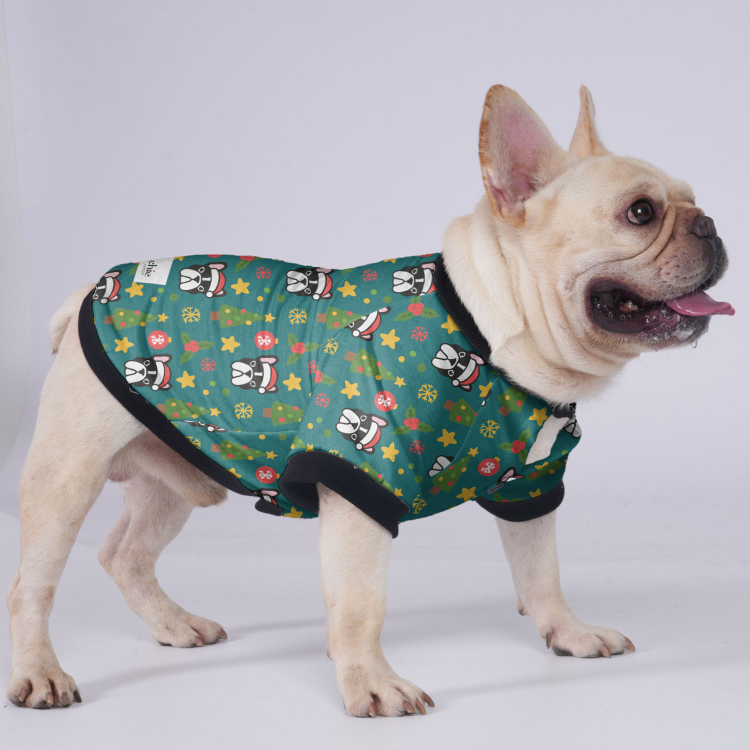 Pablo French Bulldog Pet Jacket for Brachycephalic Dogs-fadou
