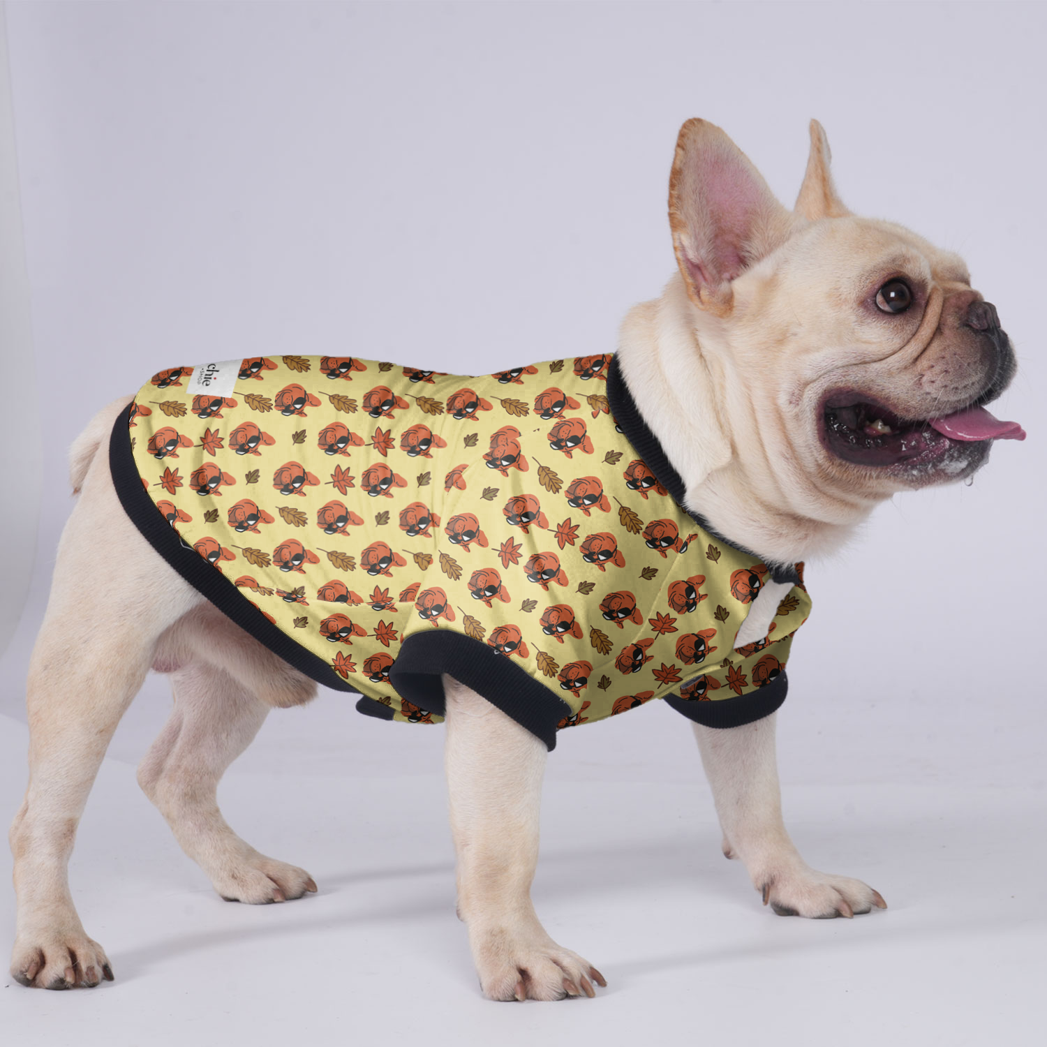 Butter French Bulldog Winter Jacket for Short-Nosed Dogs-fadou