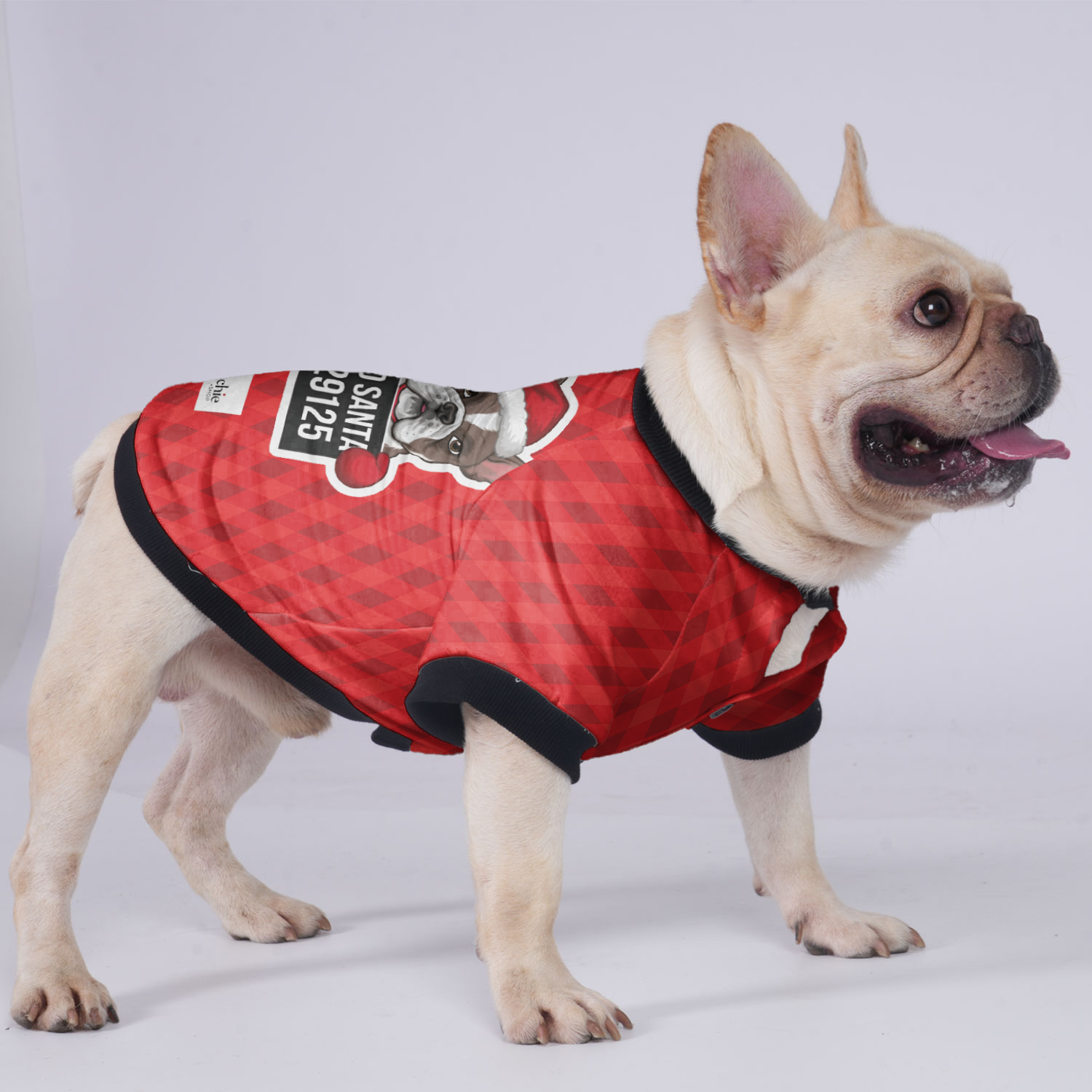 Bad French Bulldog Warm Outerwear for Brachycephalic Dogs-fadou