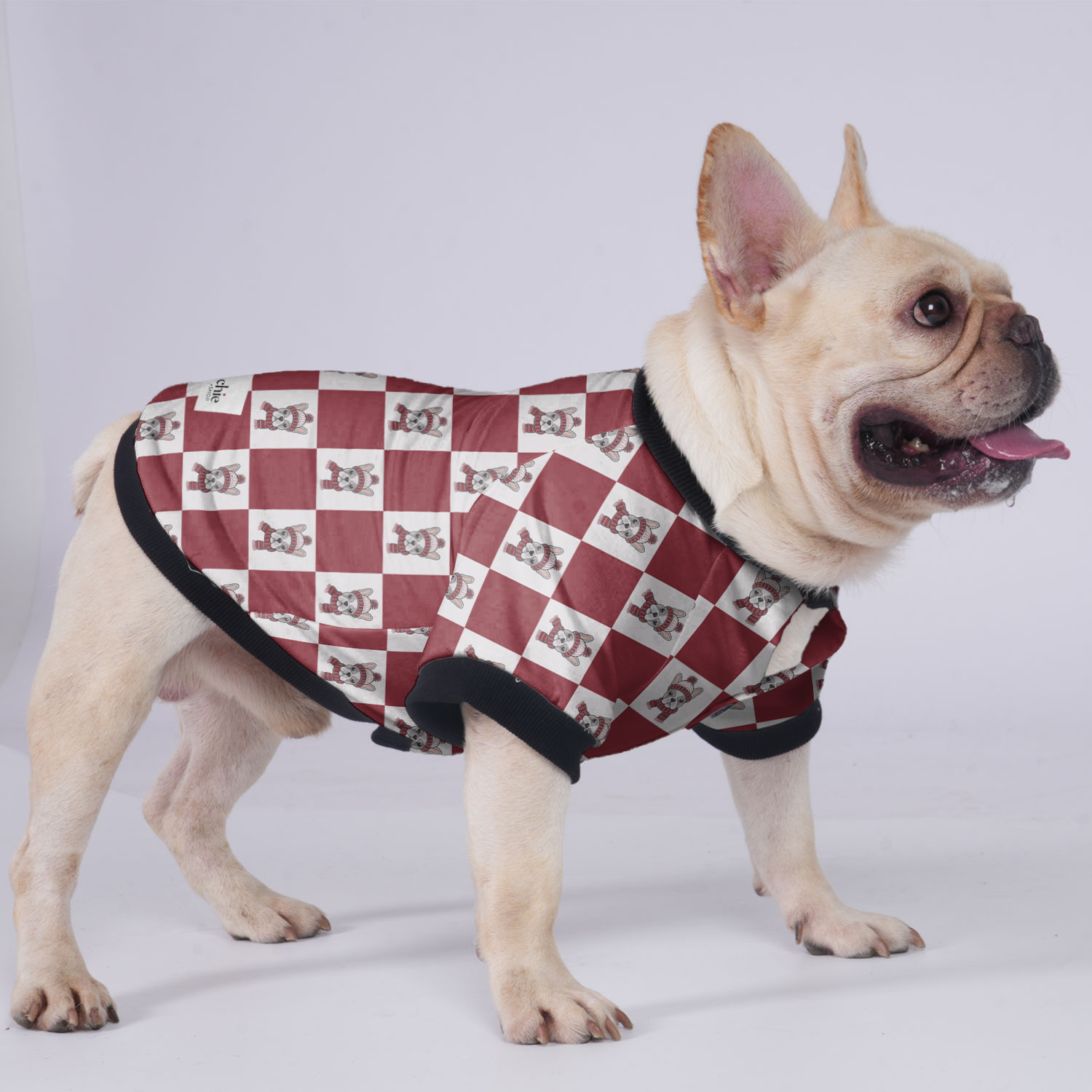Winston French Bulldog Winter Jacket for Training Sessions-fadou