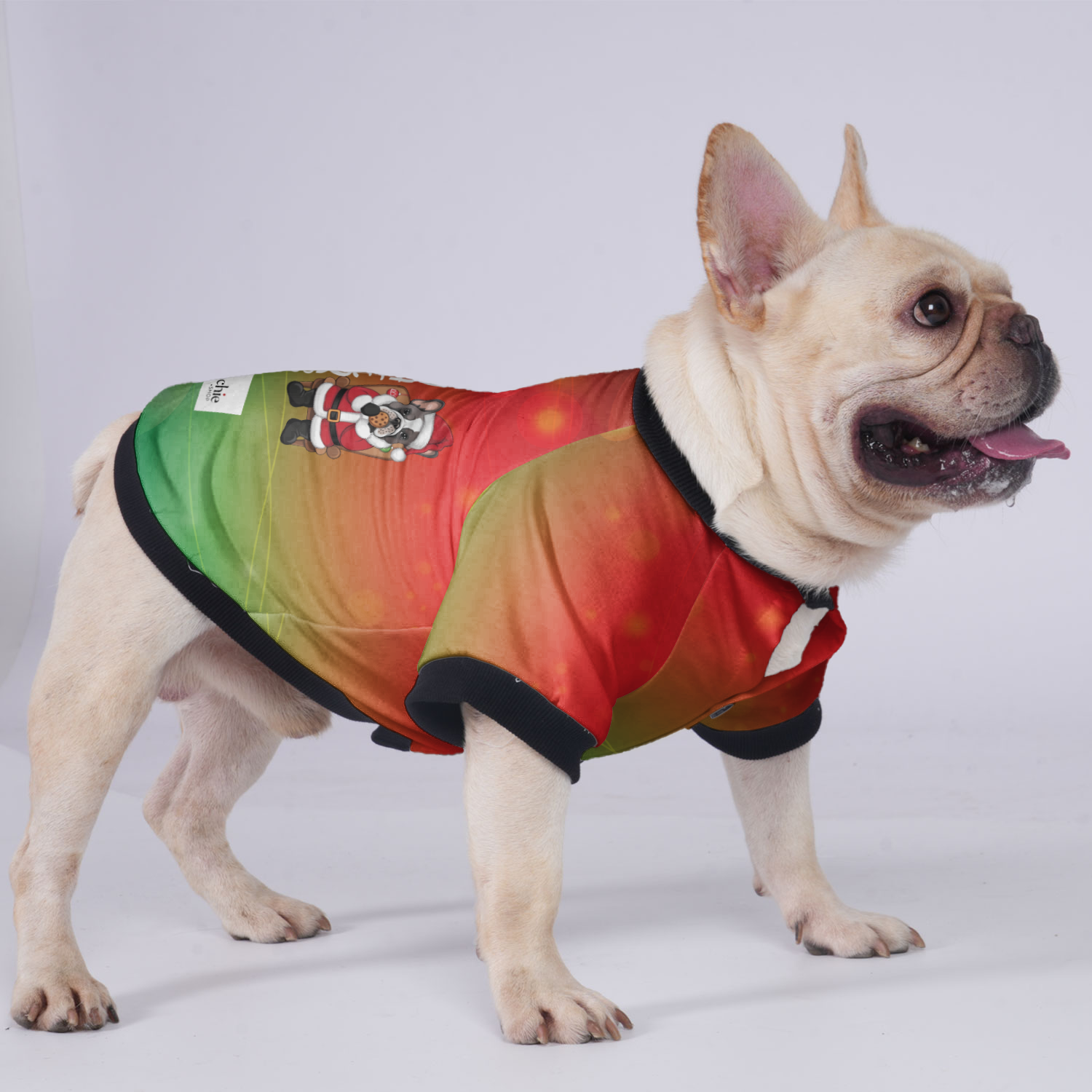 Sorry French Bulldog Pet Jacket for Brachycephalic Dogs-fadou