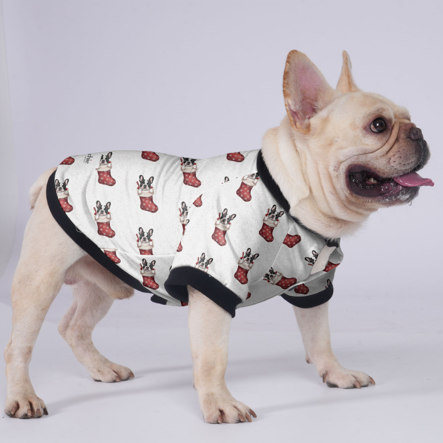 Thor - Jacket for French Bulldog for Brachycephalic Dogs-fadou