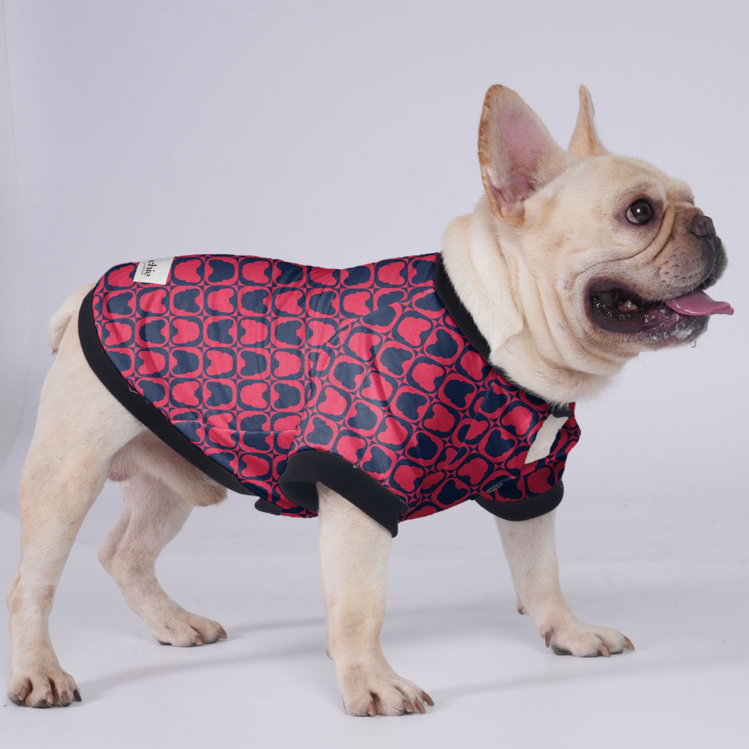 Chip French Bulldog Warm Outerwear for Short-Nosed Dogs-fadou