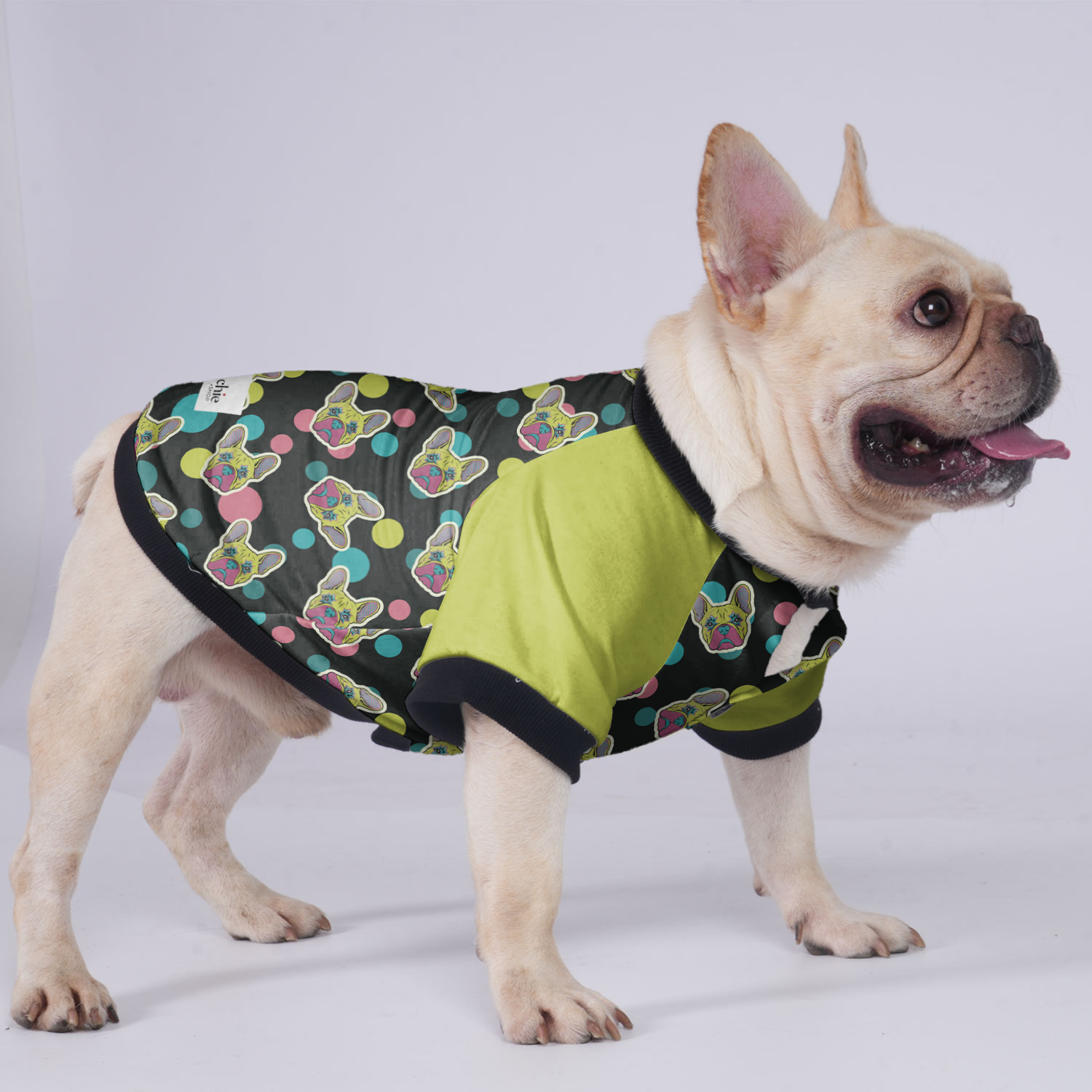 Larry French Bulldog Winter Jacket for Short-Nosed Dogs-fadou
