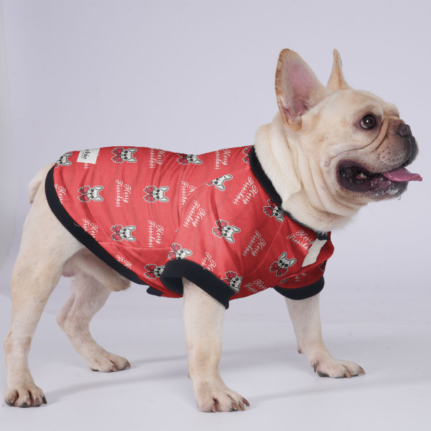 Merry French Bulldog Winter Jacket for Outdoor Adventures-fadou