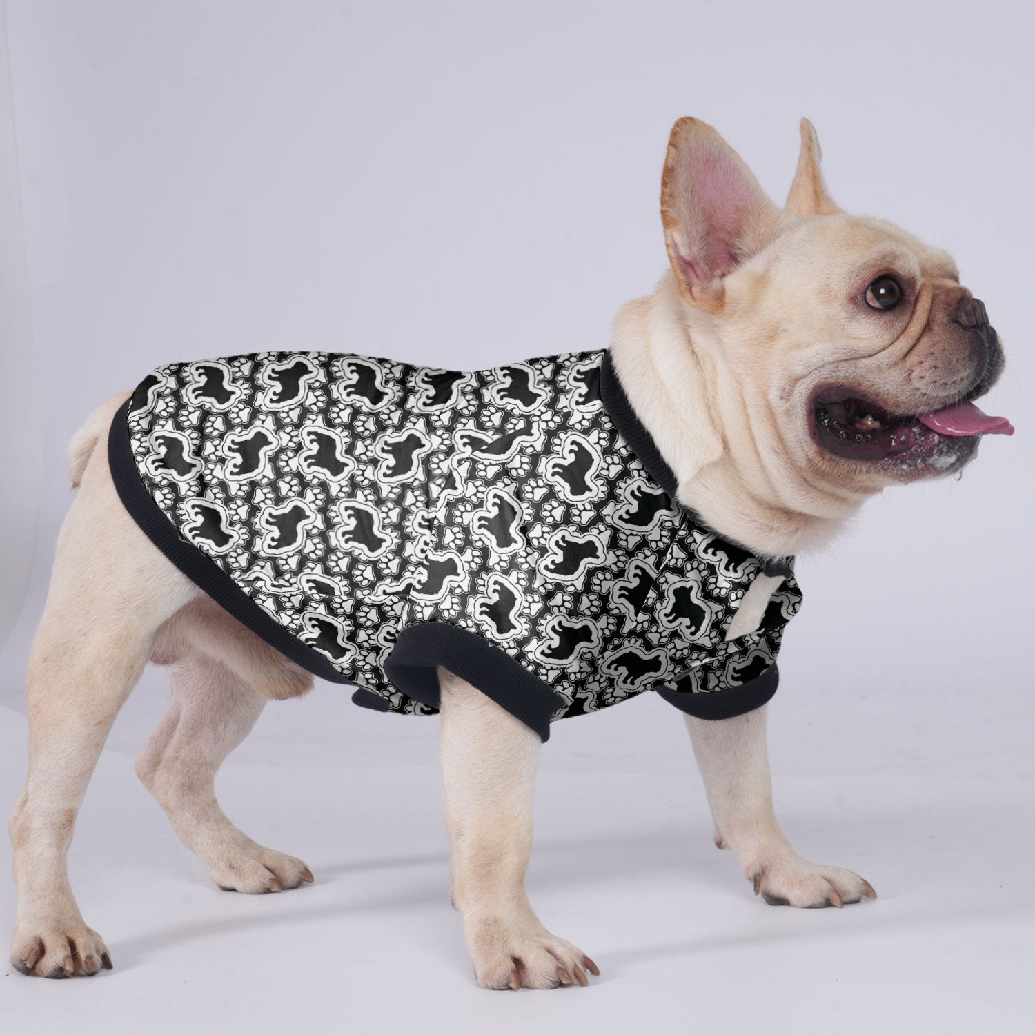Ace French Bulldog Warm Outerwear for Training Sessions-fadou