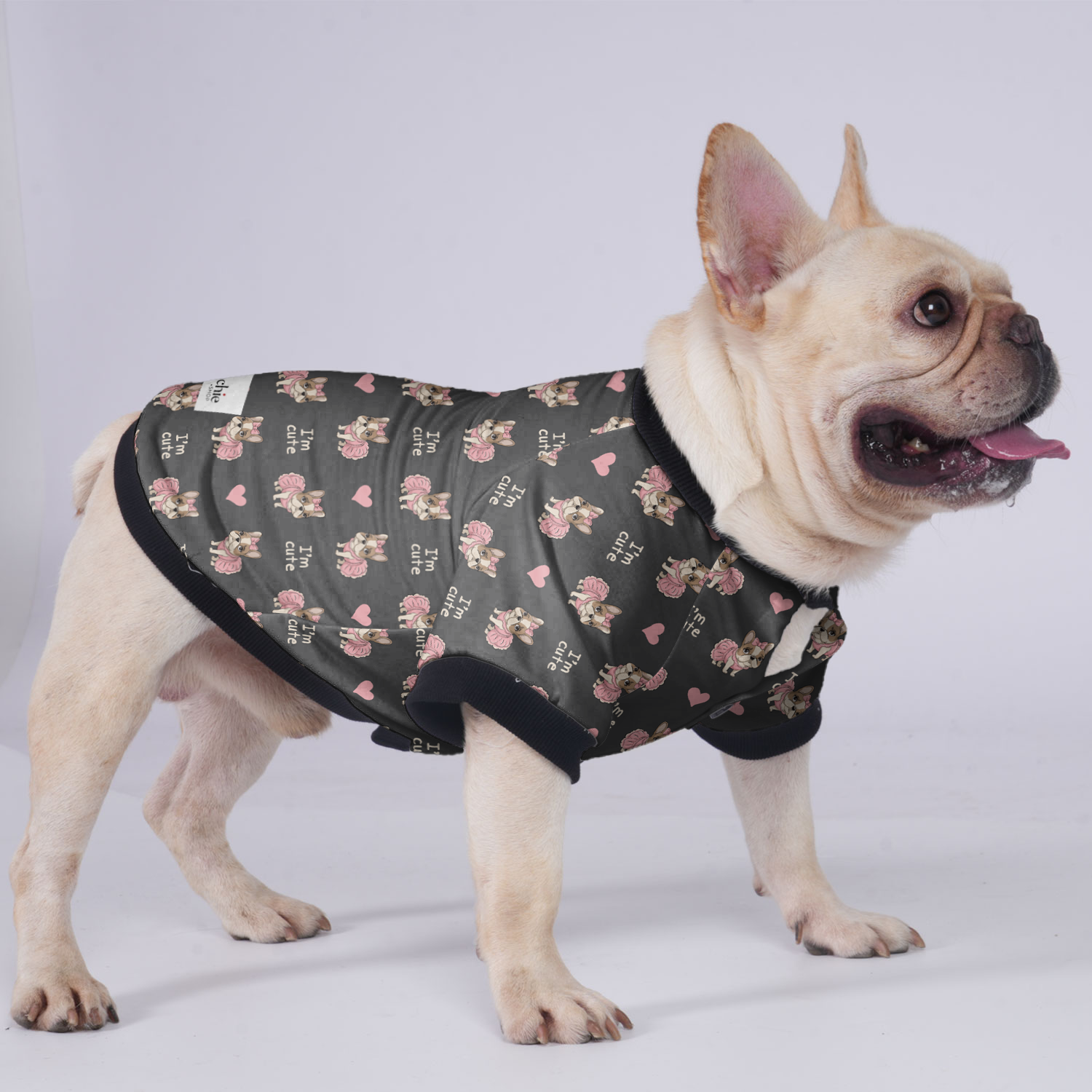 James French Bulldog Winter Jacket for Outdoor Adventures-fadou