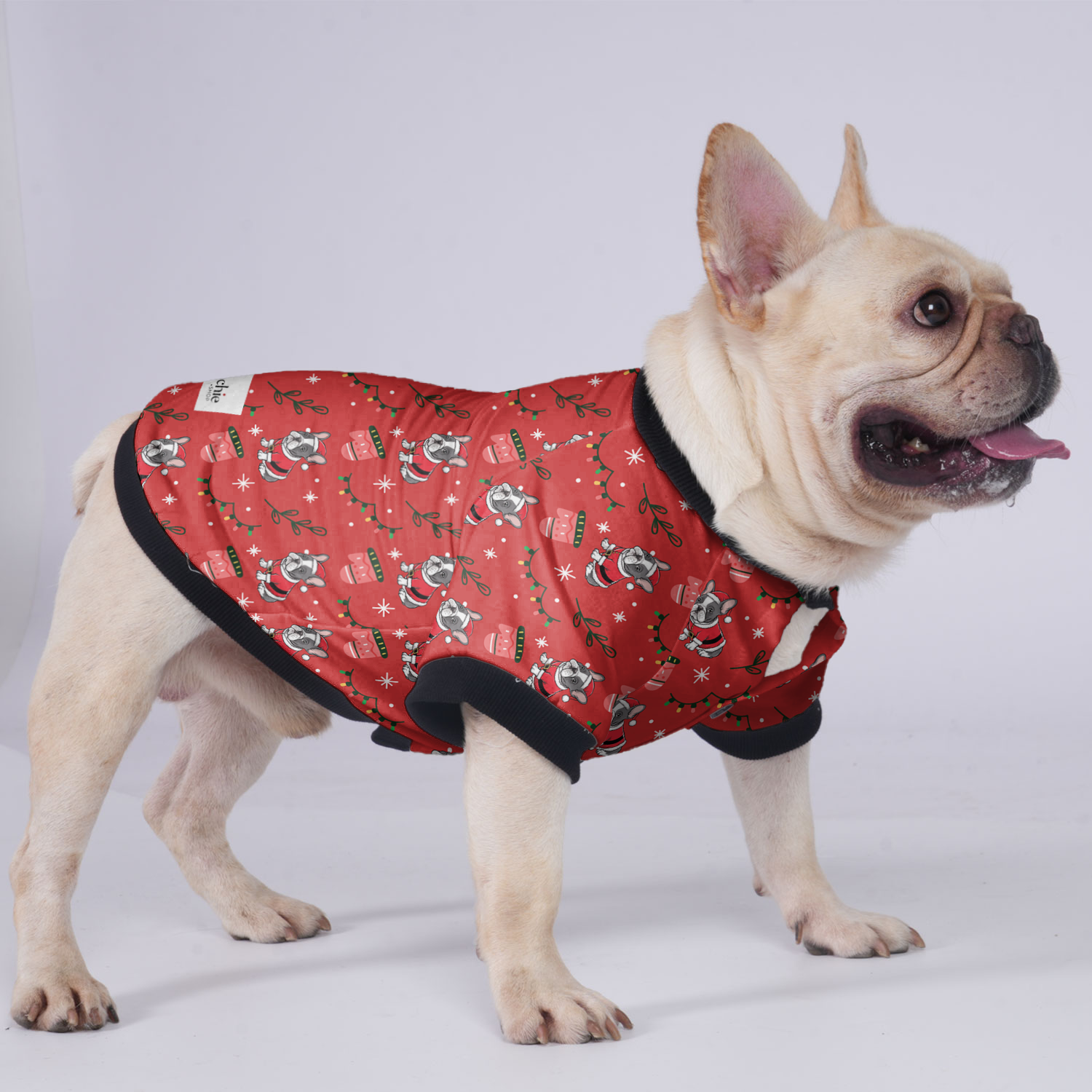 Kobe French Bulldog Winter Jacket for Training Sessions-fadou
