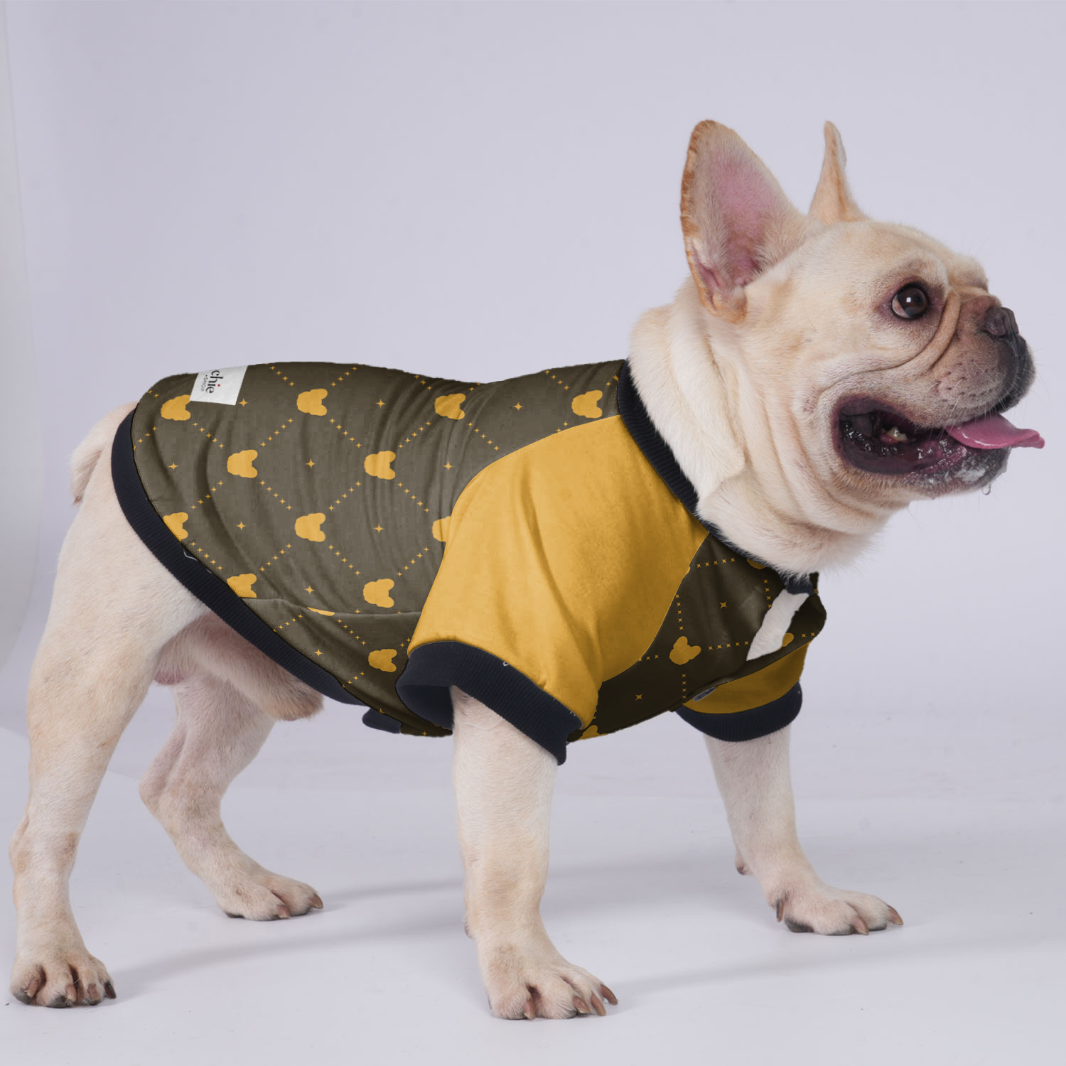 Lincoln French Bulldog Warm Outerwear for Outdoor Adventures-fadou