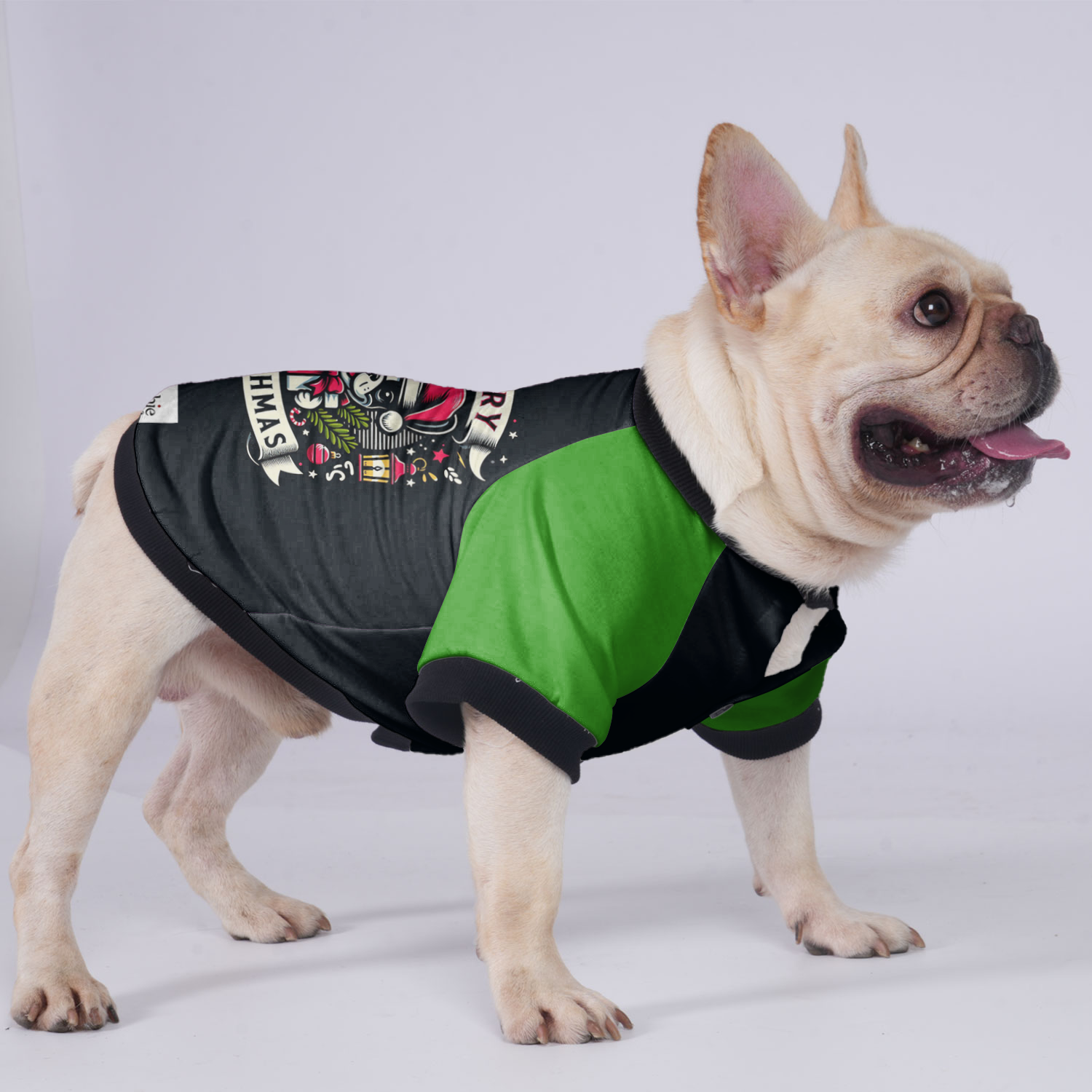 Bailey French Bulldog Winter Jacket for Training Sessions-fadou