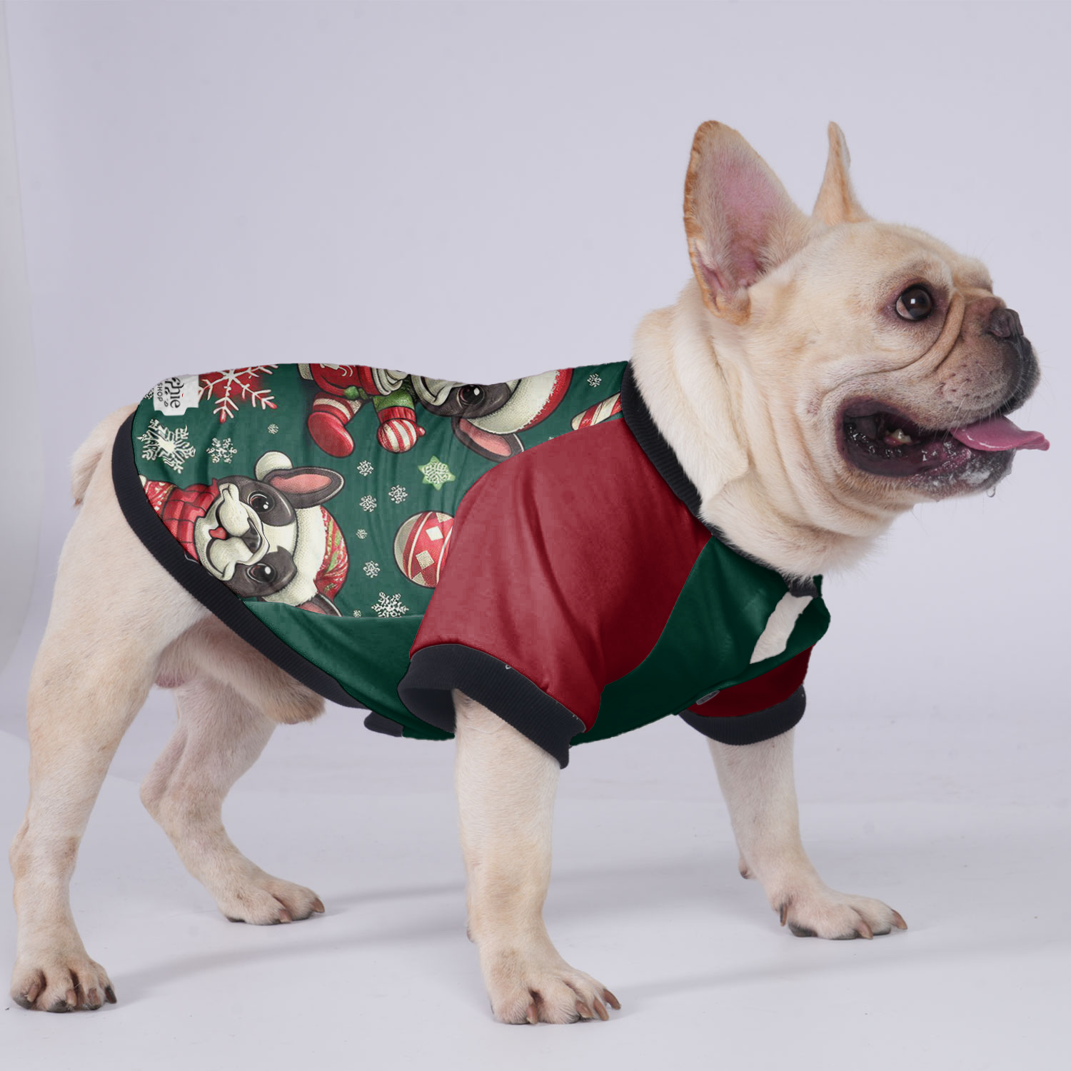 Cooper French Bulldog Warm Outerwear for Training Sessions-fadou