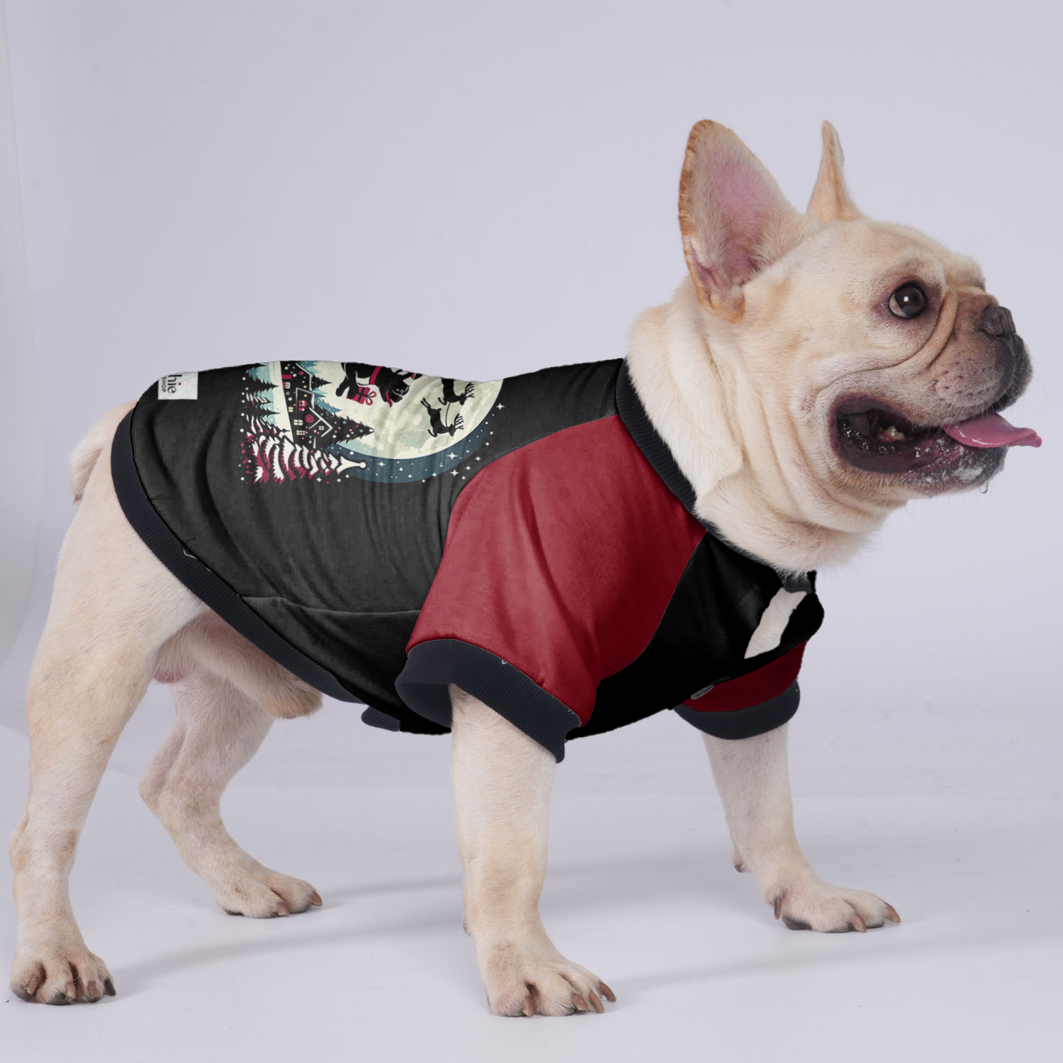 Molly French Bulldog Pet Jacket for Brachycephalic Dogs-fadou