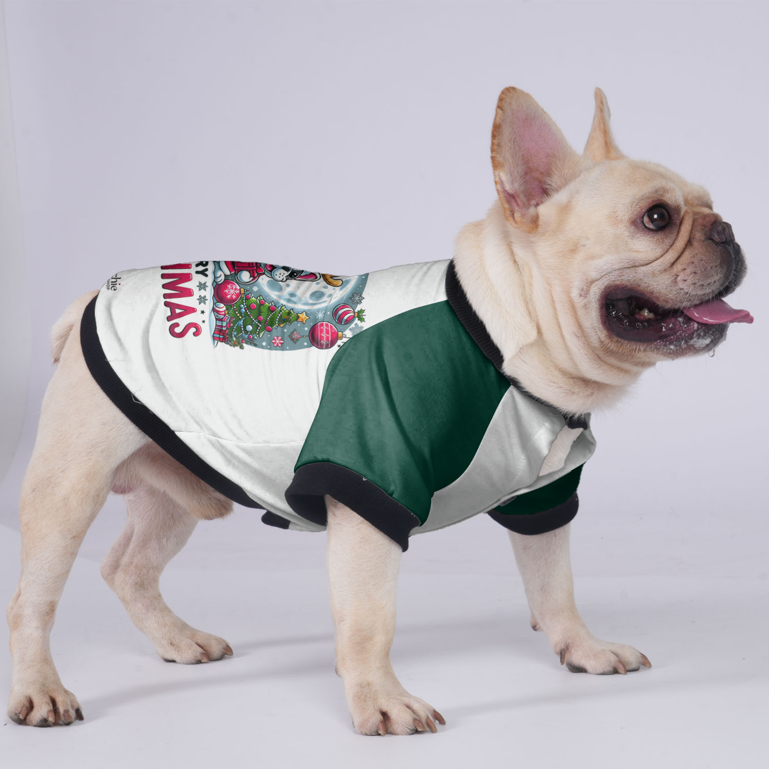 Sadie French Bulldog Warm Outerwear for Outdoor Adventures-fadou