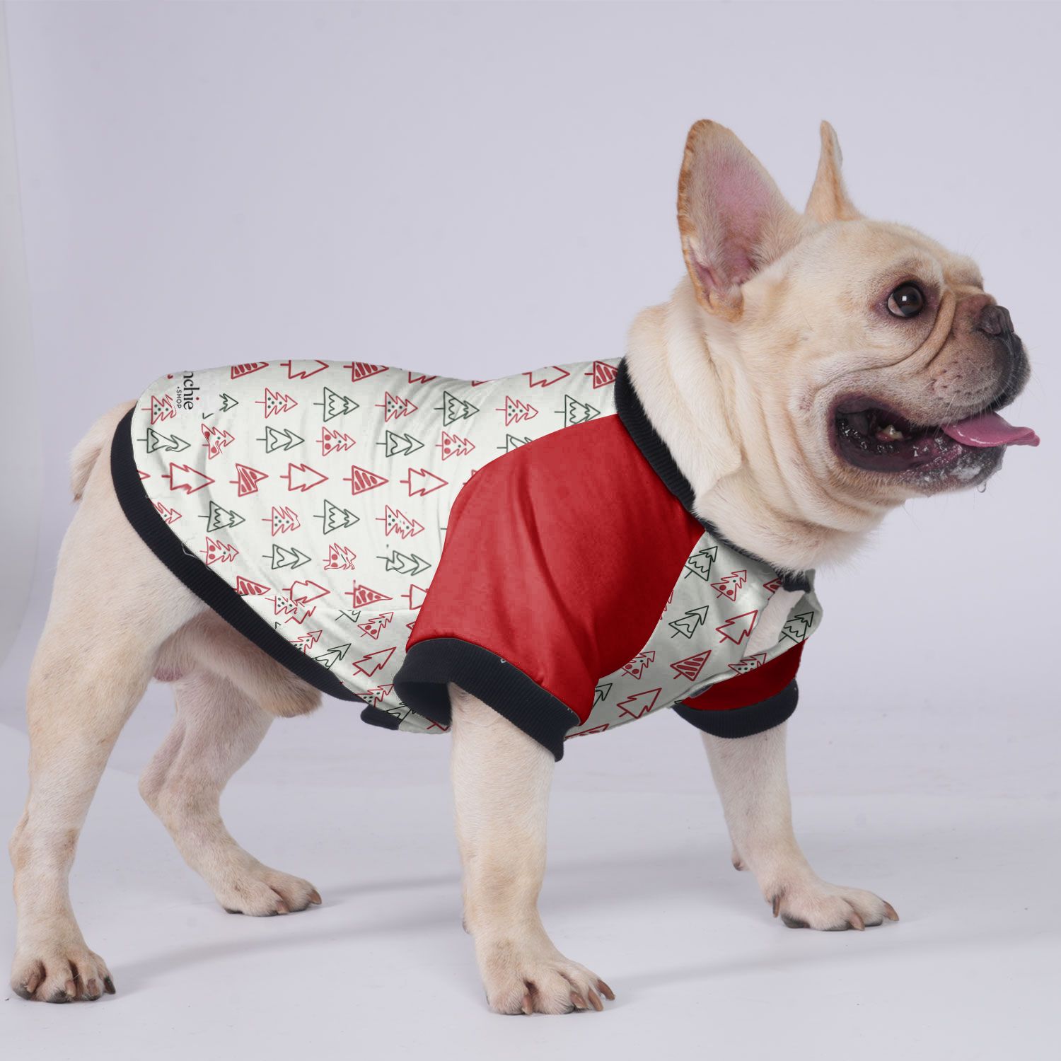 Rocky French Bulldog Pet Jacket for Brachycephalic Dogs-fadou