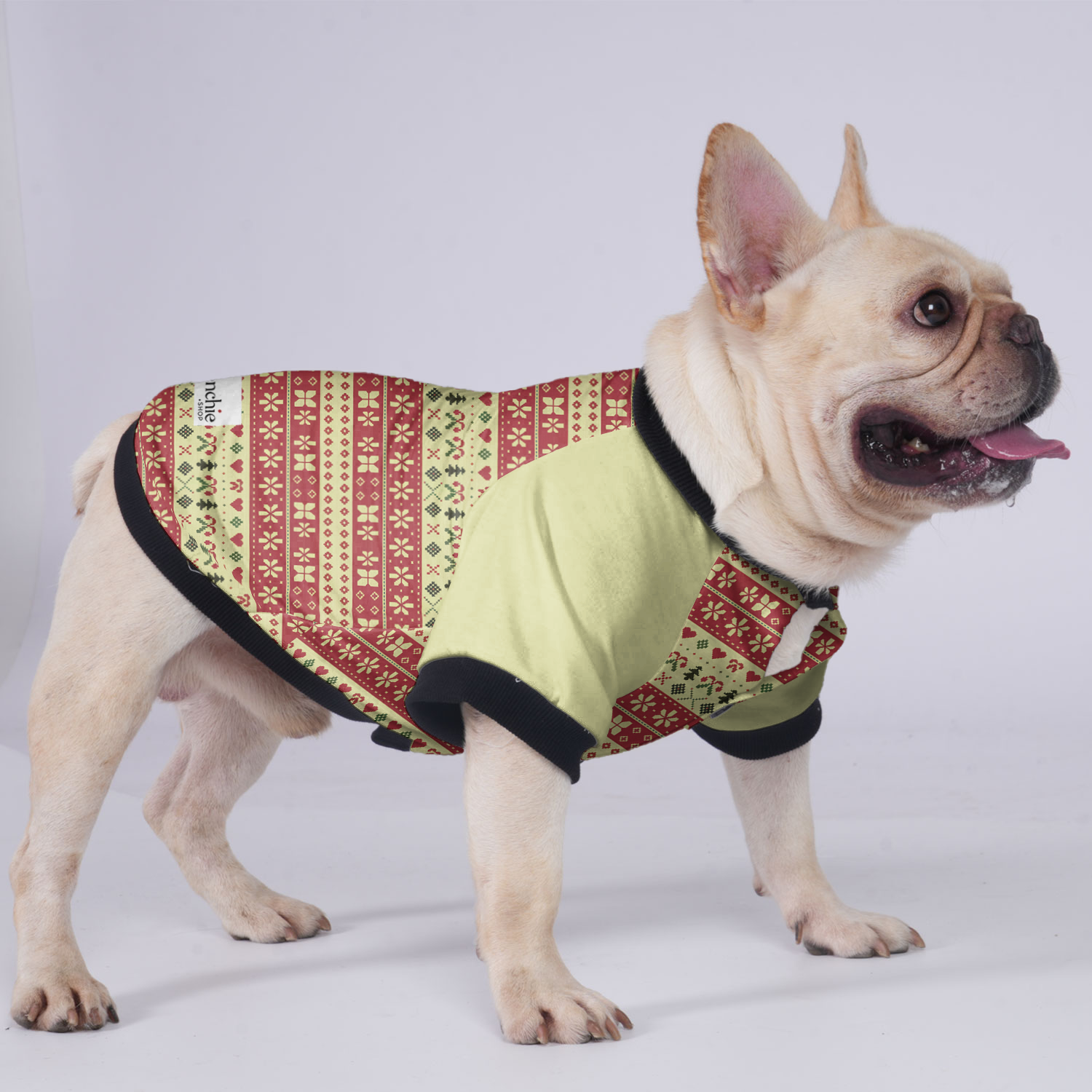 Remi French Bulldog Warm Outerwear for Outdoor Adventures-fadou