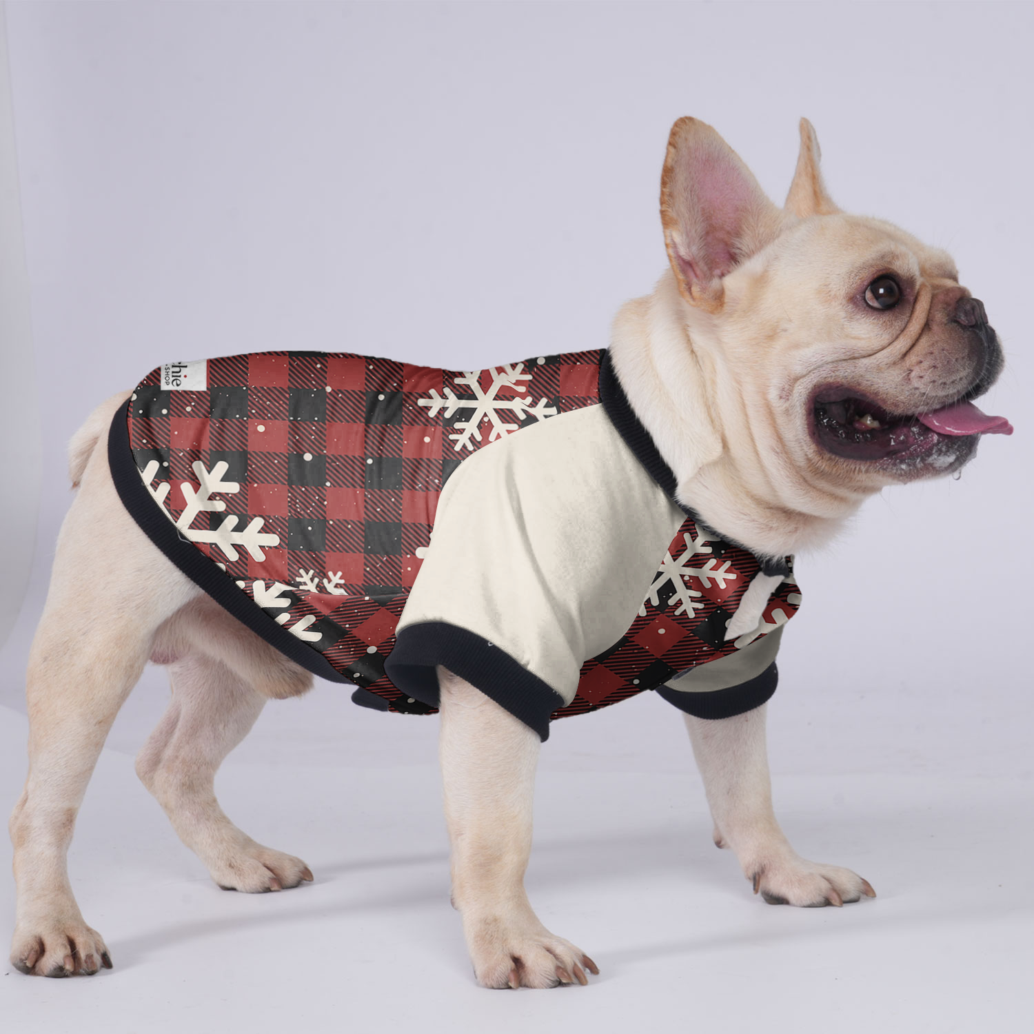 Chloe French Bulldog Pet Jacket for Brachycephalic Dogs-fadou