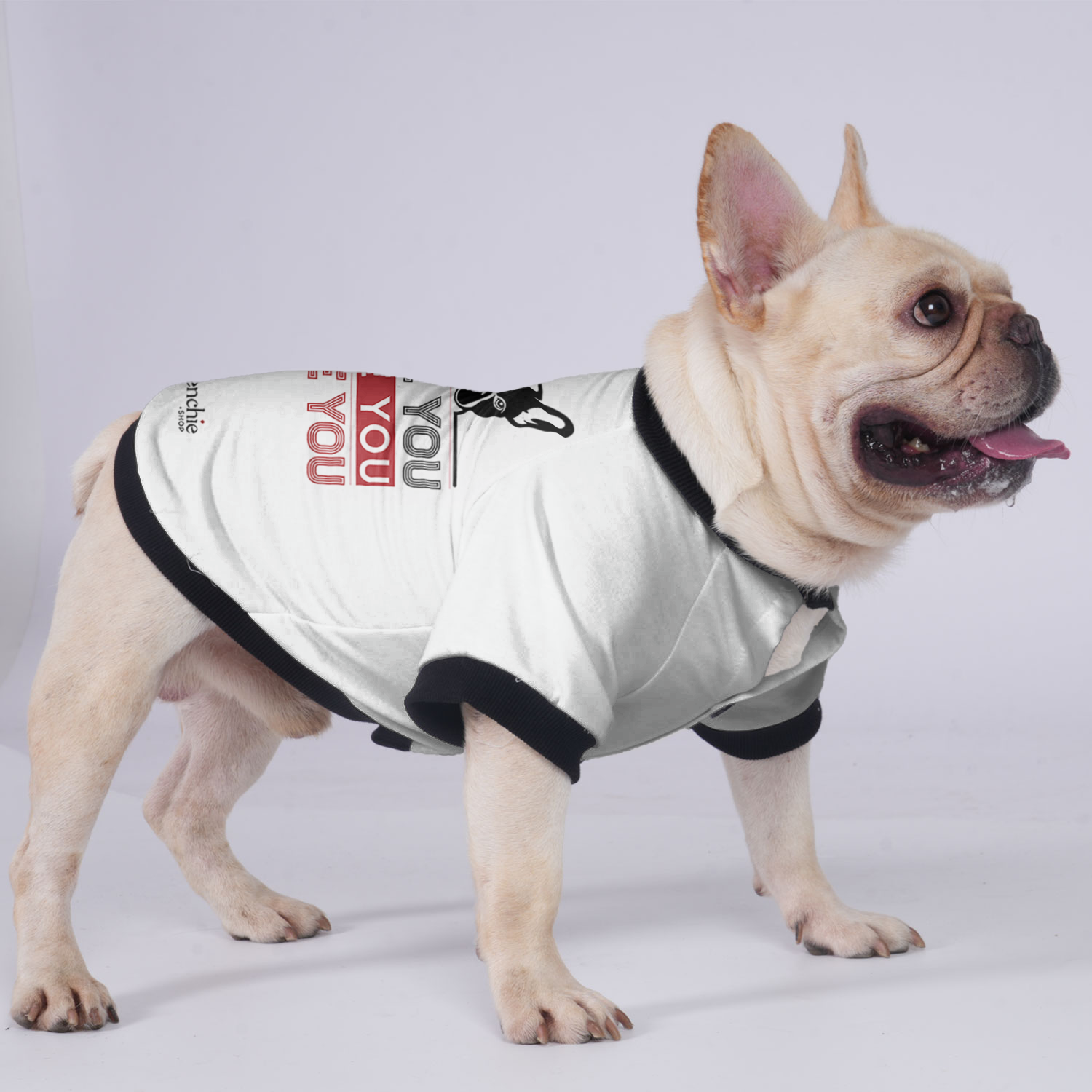 Luna - Jacket for French Bulldog for Brachycephalic Dogs-fadou