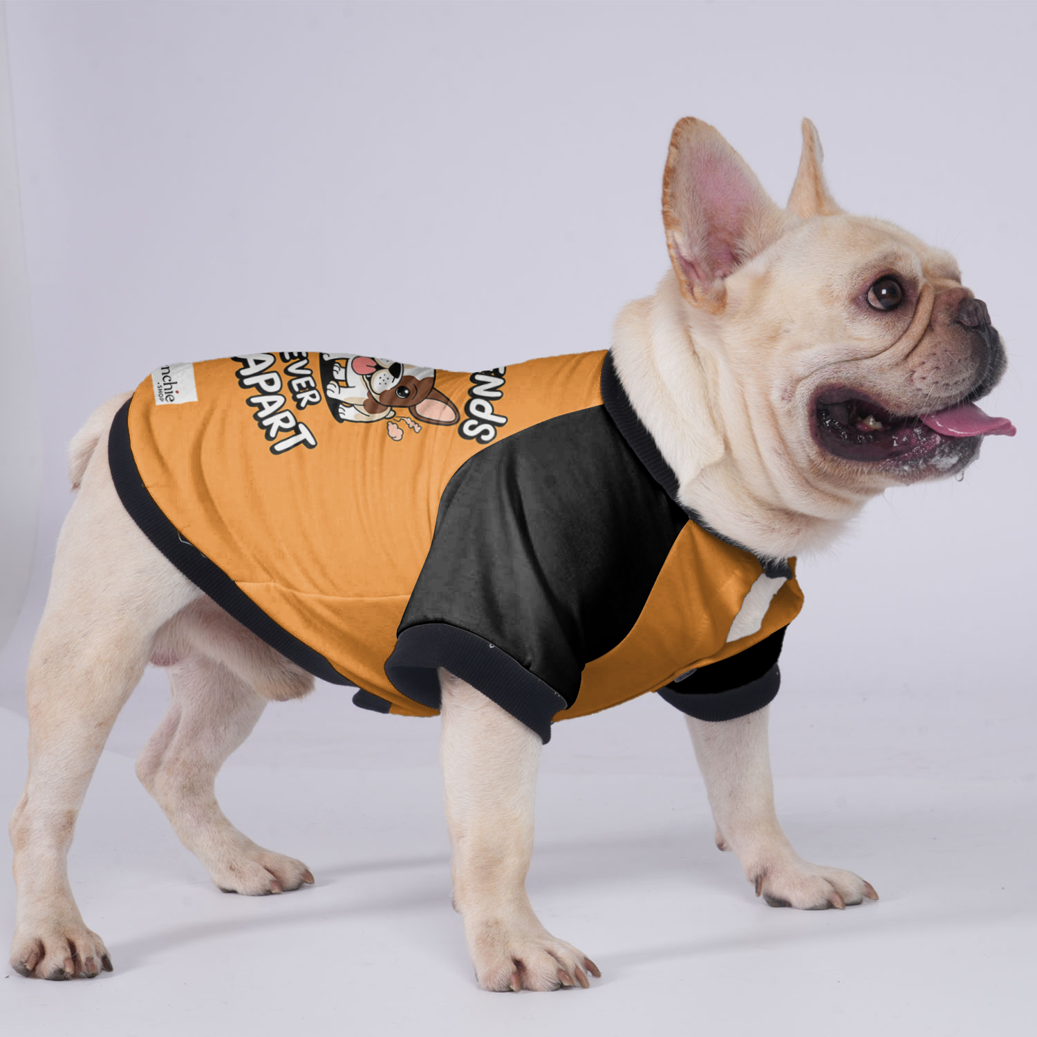 Zoey French Bulldog Warm Outerwear for Short-Nosed Dogs-fadou