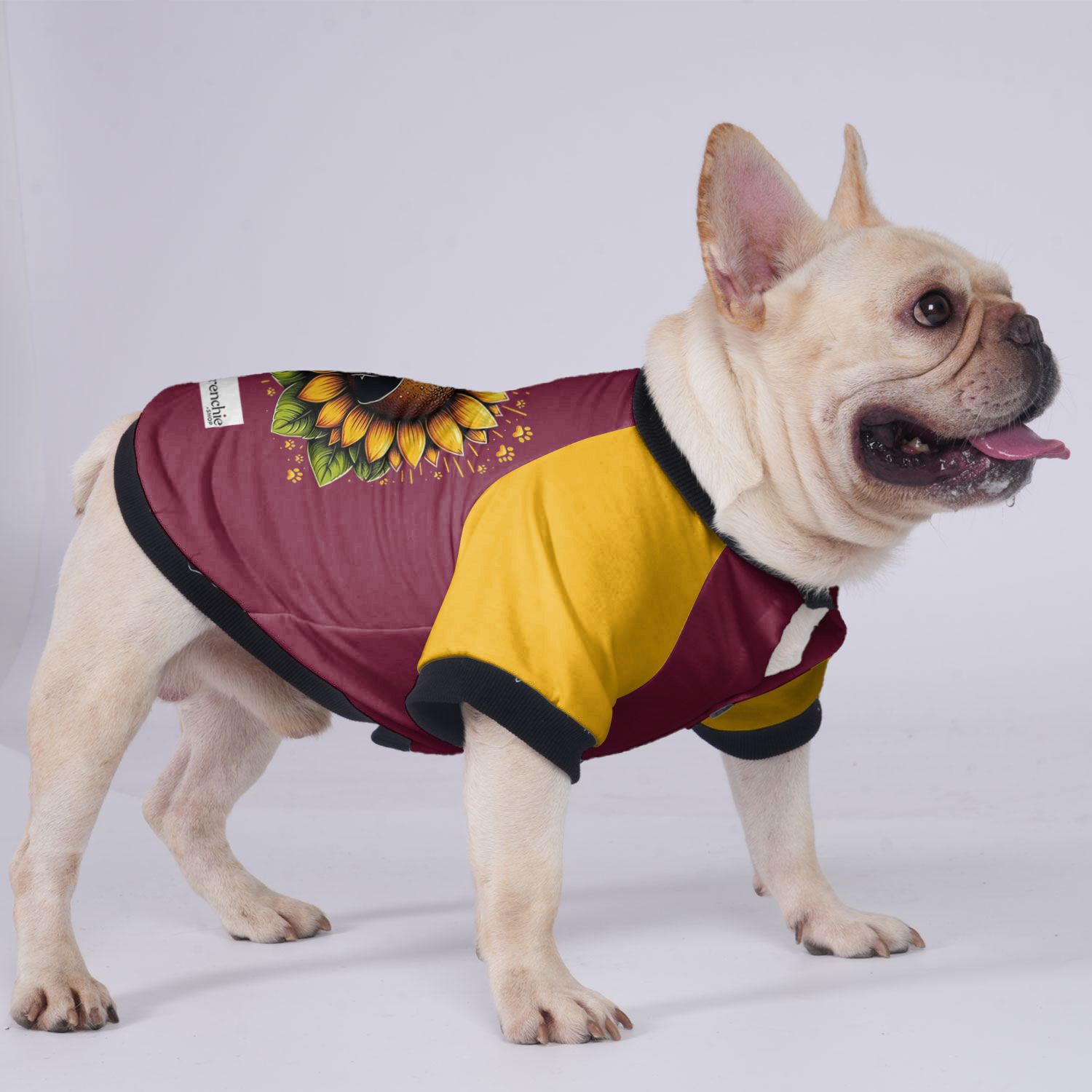 Toby French Bulldog Warm Outerwear for Training Sessions-fadou