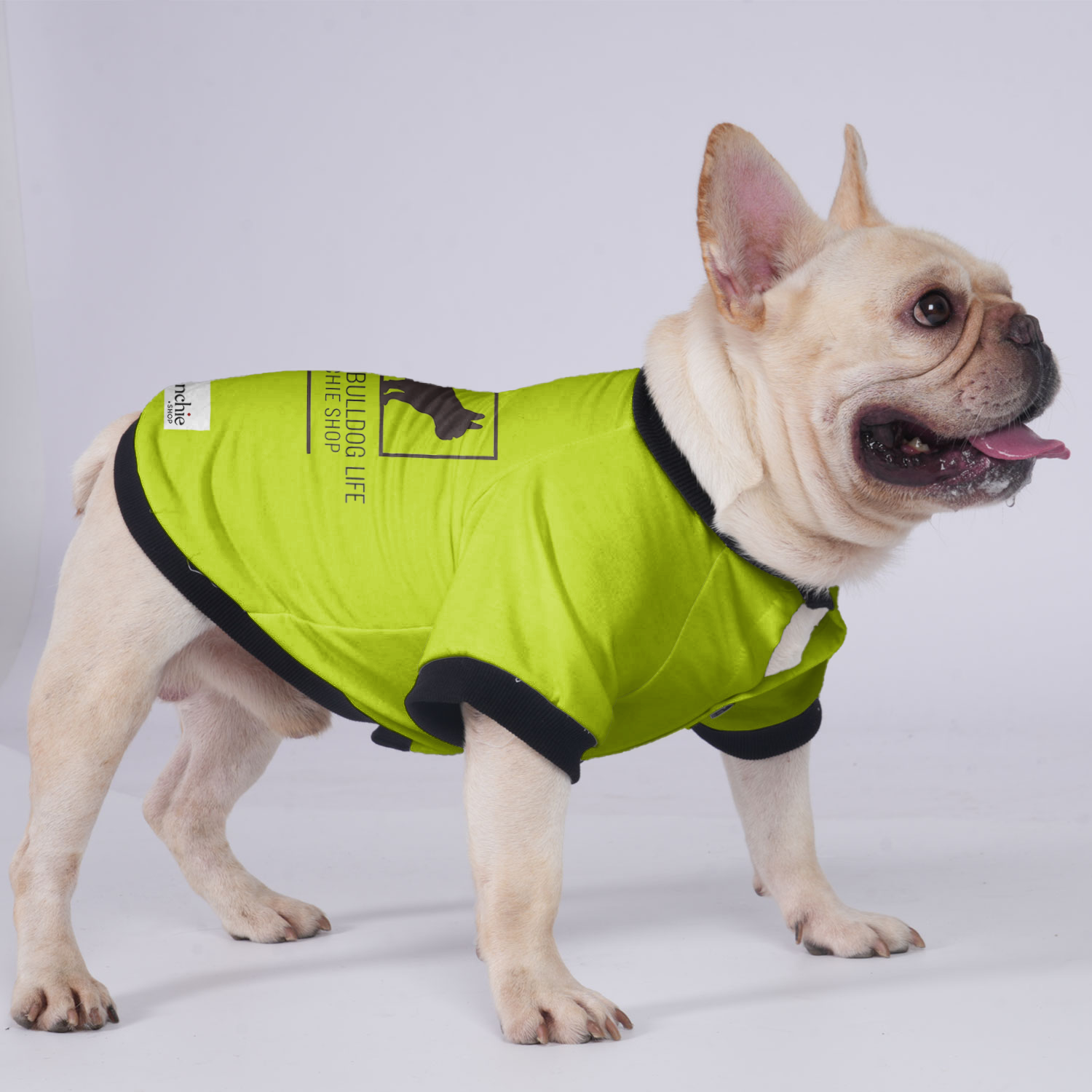 Max French Bulldog Warm Outerwear for Outdoor Adventures-fadou
