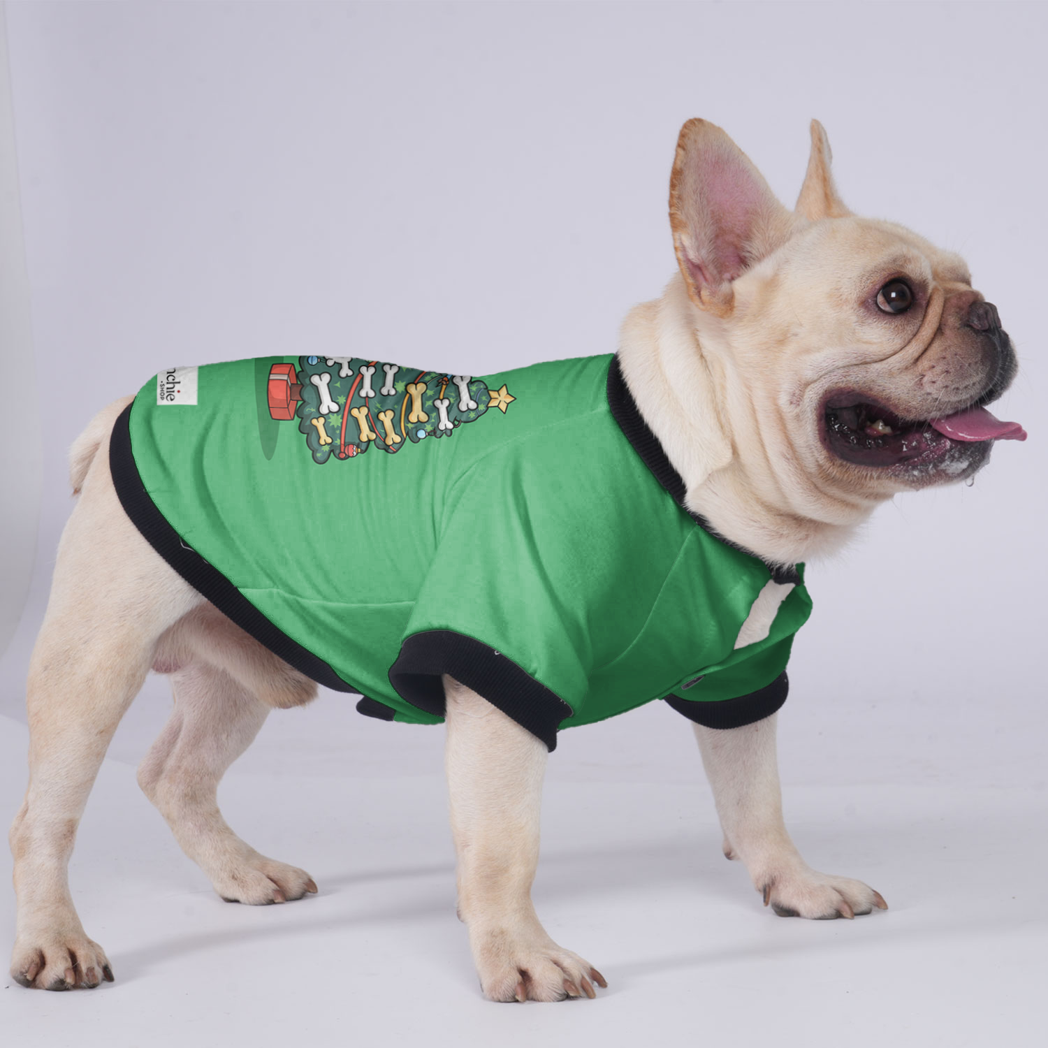 Daisy French Bulldog Winter Jacket for Flat-Face Breeds-fadou
