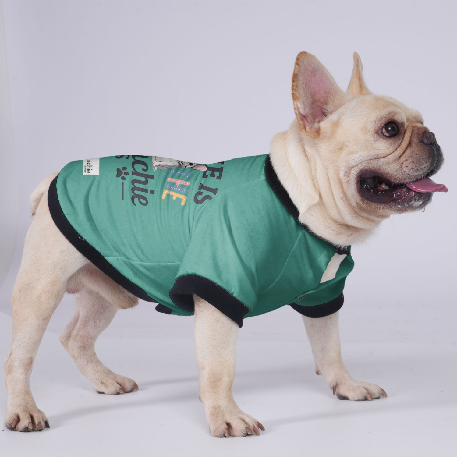 Charlie French Bulldog Warm Outerwear for Outdoor Adventures-fadou