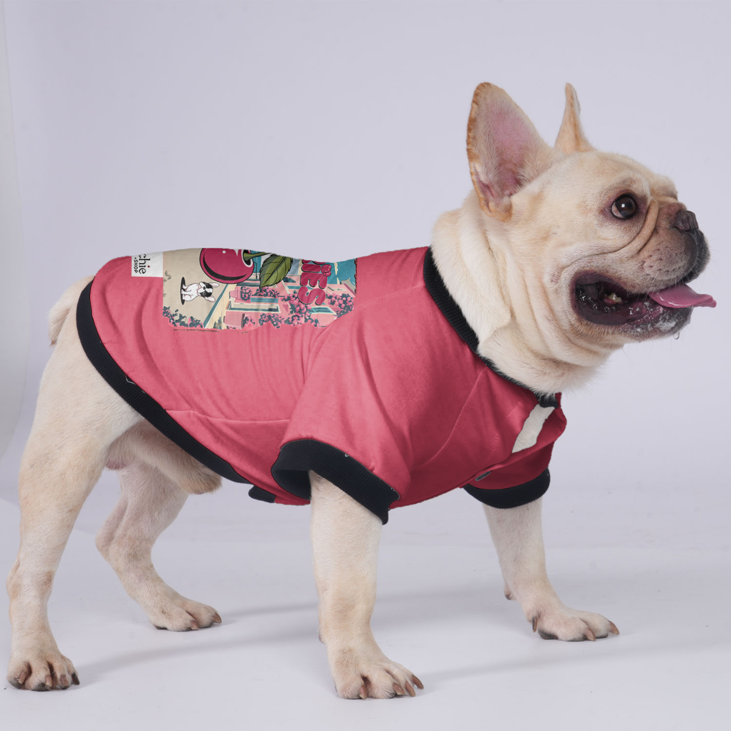 Lady French Bulldog Warm Outerwear for Flat-Face Breeds-fadou