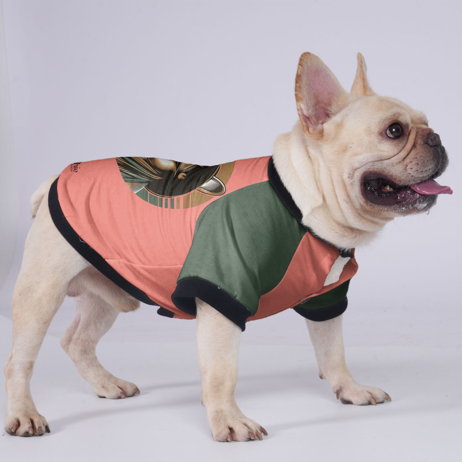 Lucy French Bulldog Winter Jacket for Training Sessions-fadou