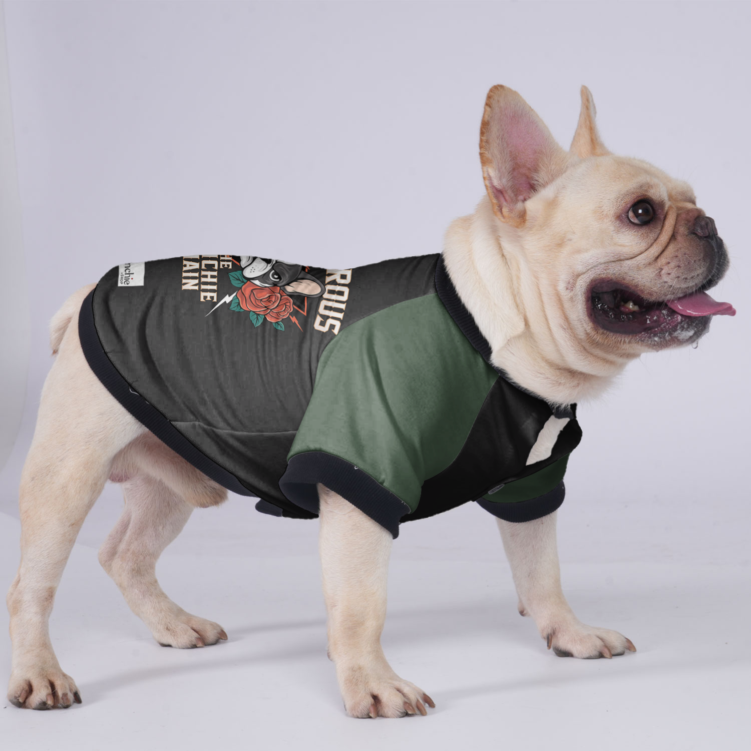 Melo French Bulldog Warm Outerwear for Training Sessions-fadou