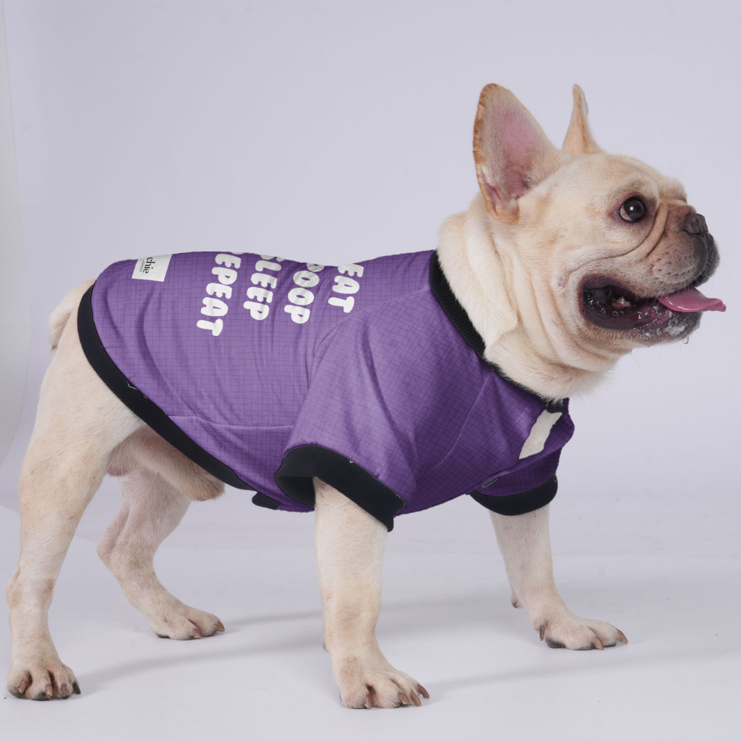 Eat,Poop,Sleep,Repeat - Jacket for French Bulldog for French Bulldogs-fadou