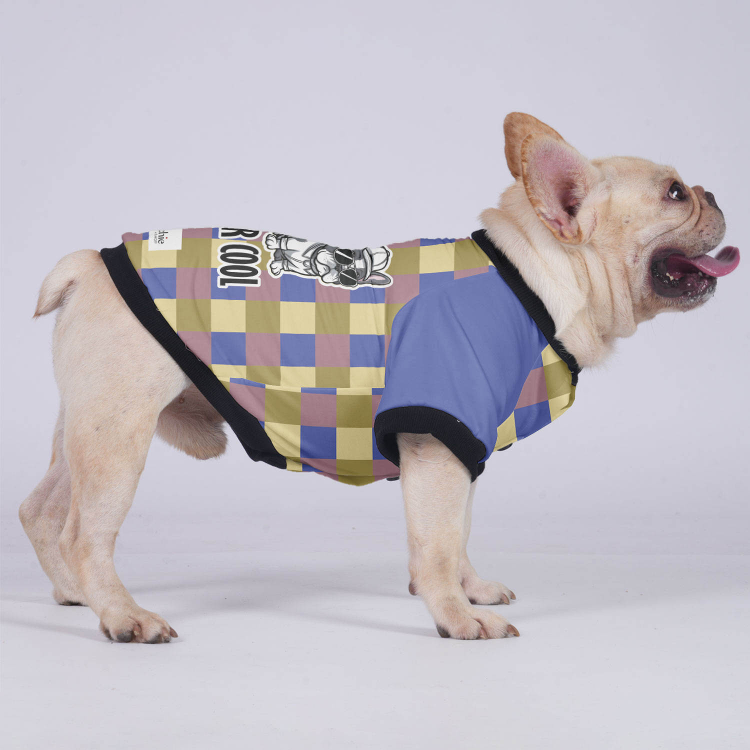 Mr Cool - Jacket for French Bulldog for Training Sessions-fadou