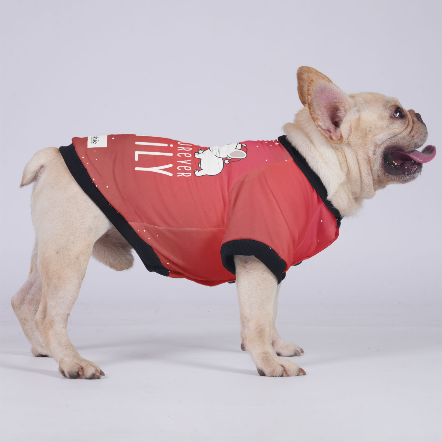 French Bulldog Christmas Warm Outerwear for Playtime Fun-fadou