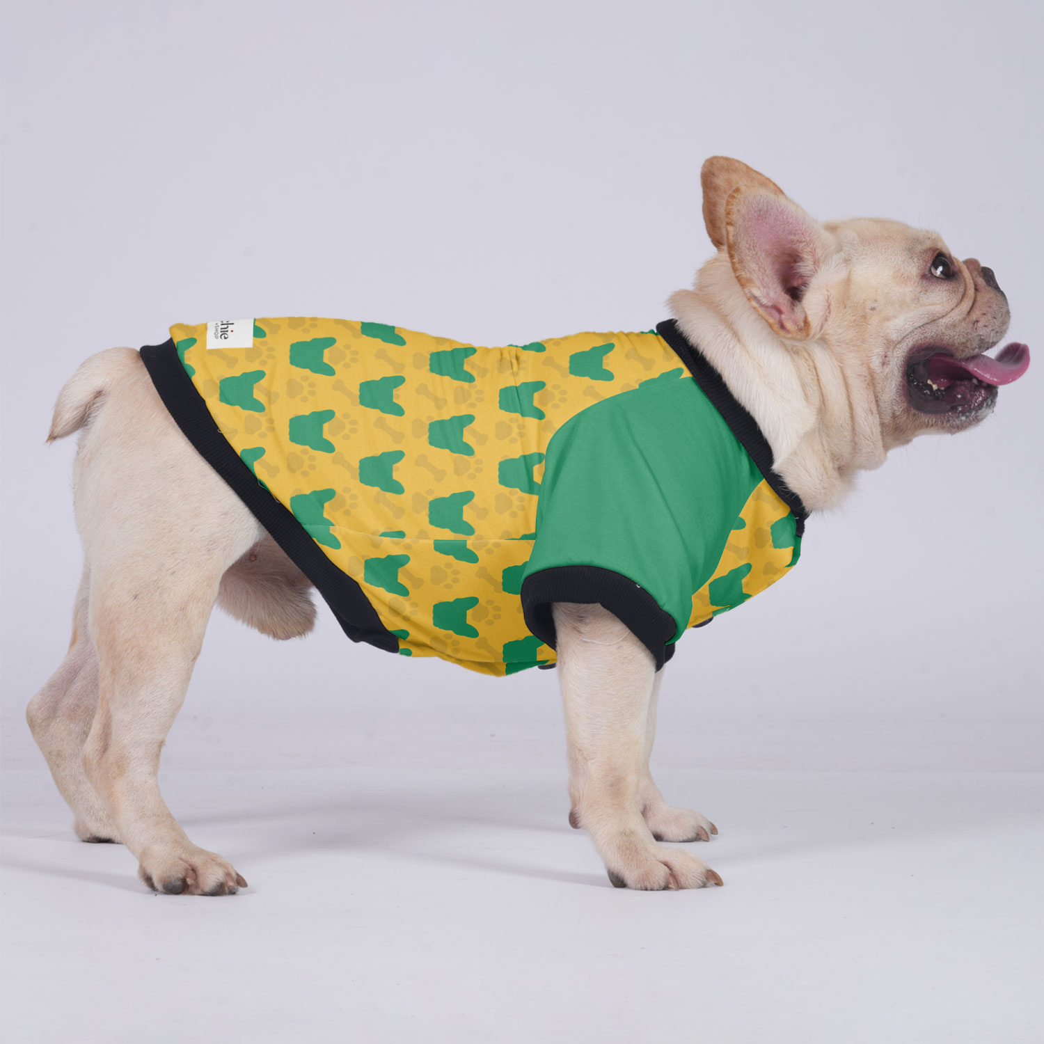 Brooklyn French Bulldog Winter Jacket for Training Sessions-fadou